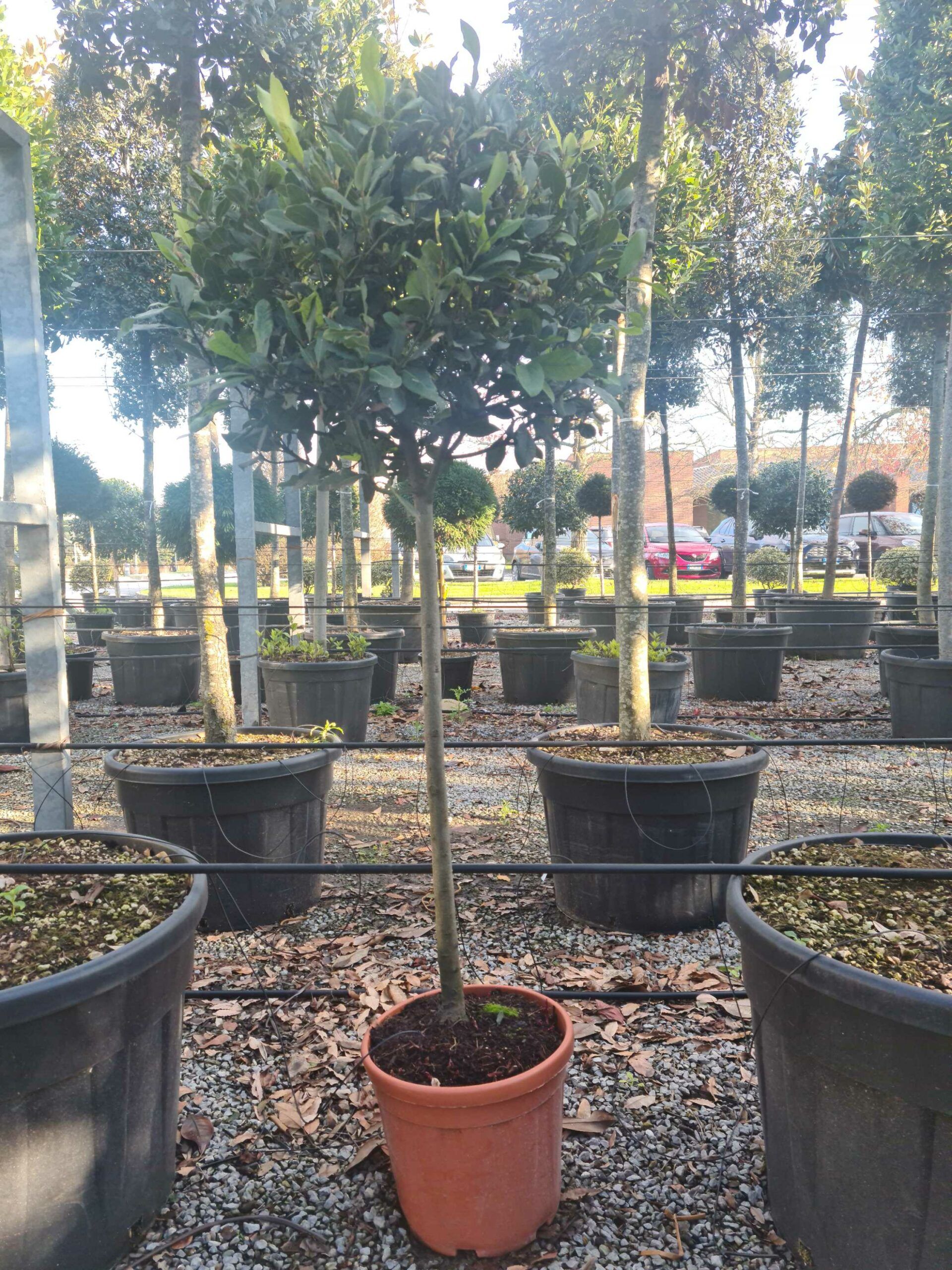 1639402383 scaled cad82cf9