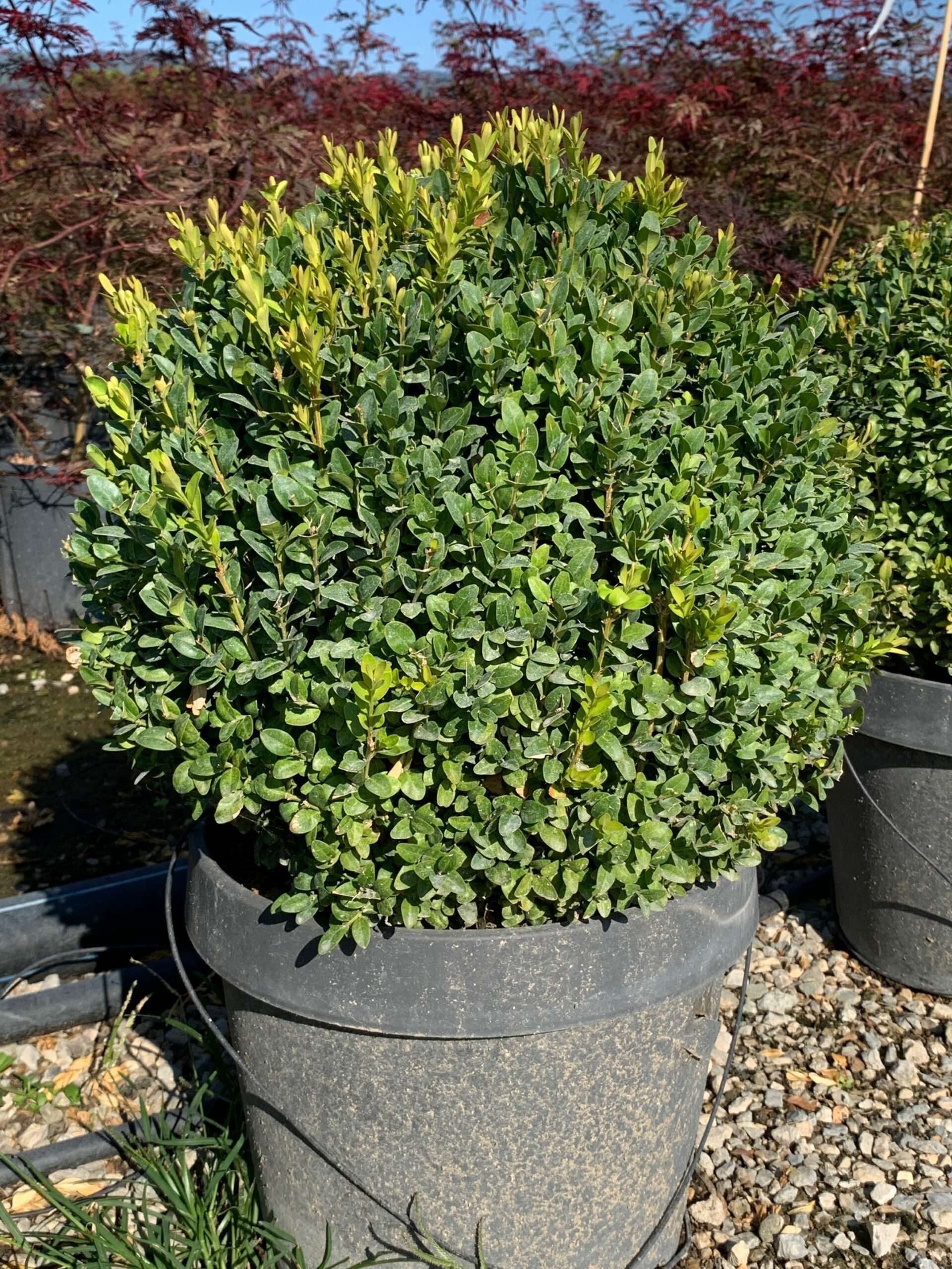 1662104834 scaled ca75ac85