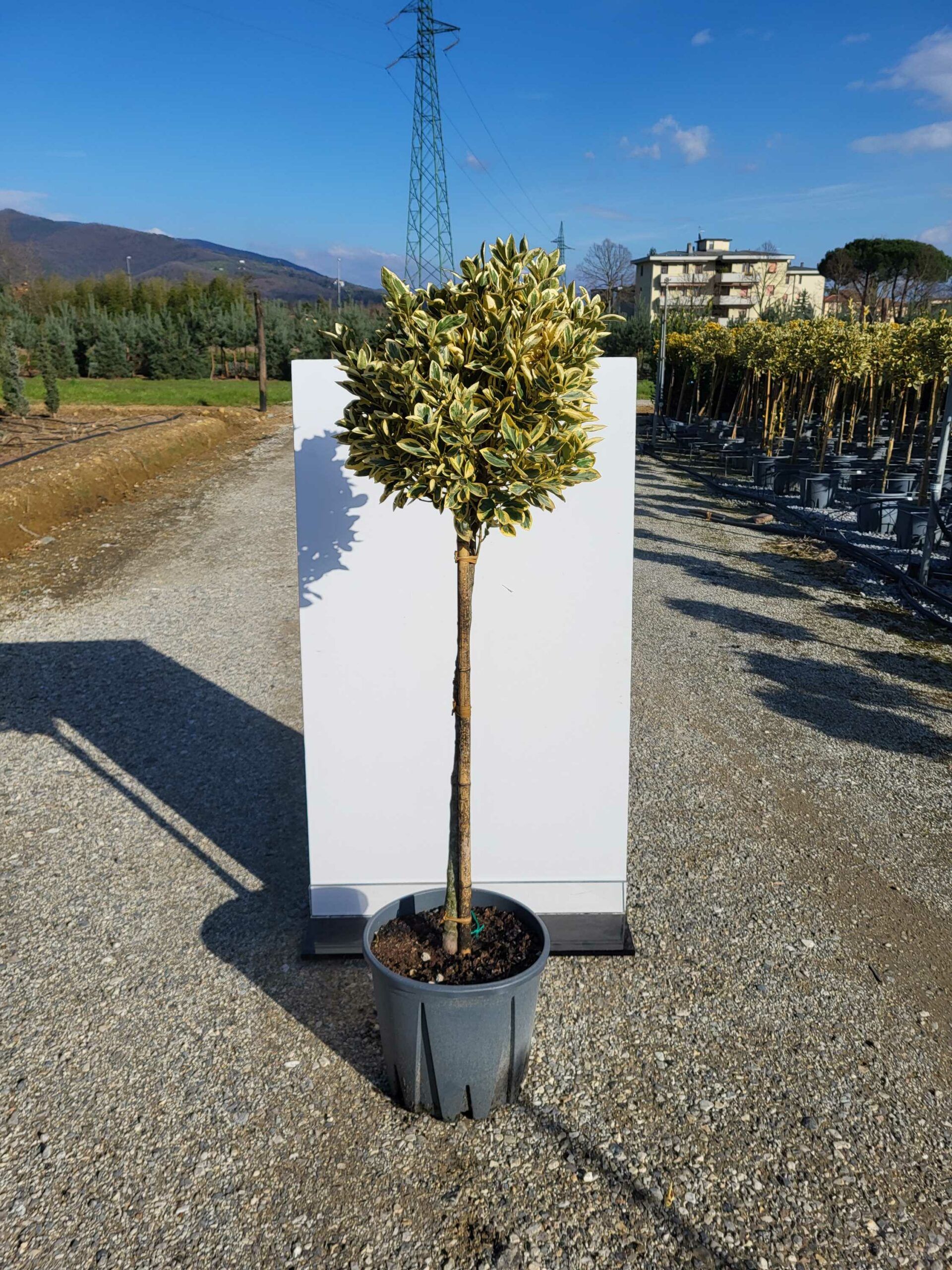 1677853940 scaled ca71242f