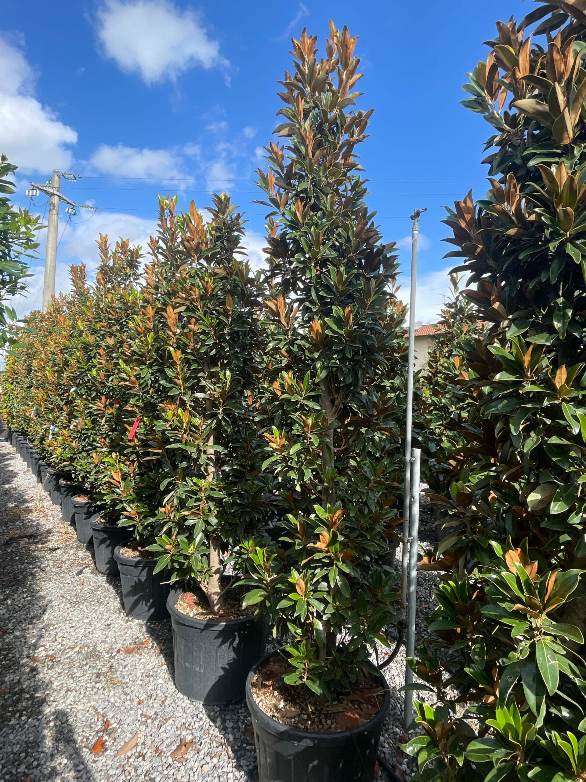 1693208642 scaled ca21a31e