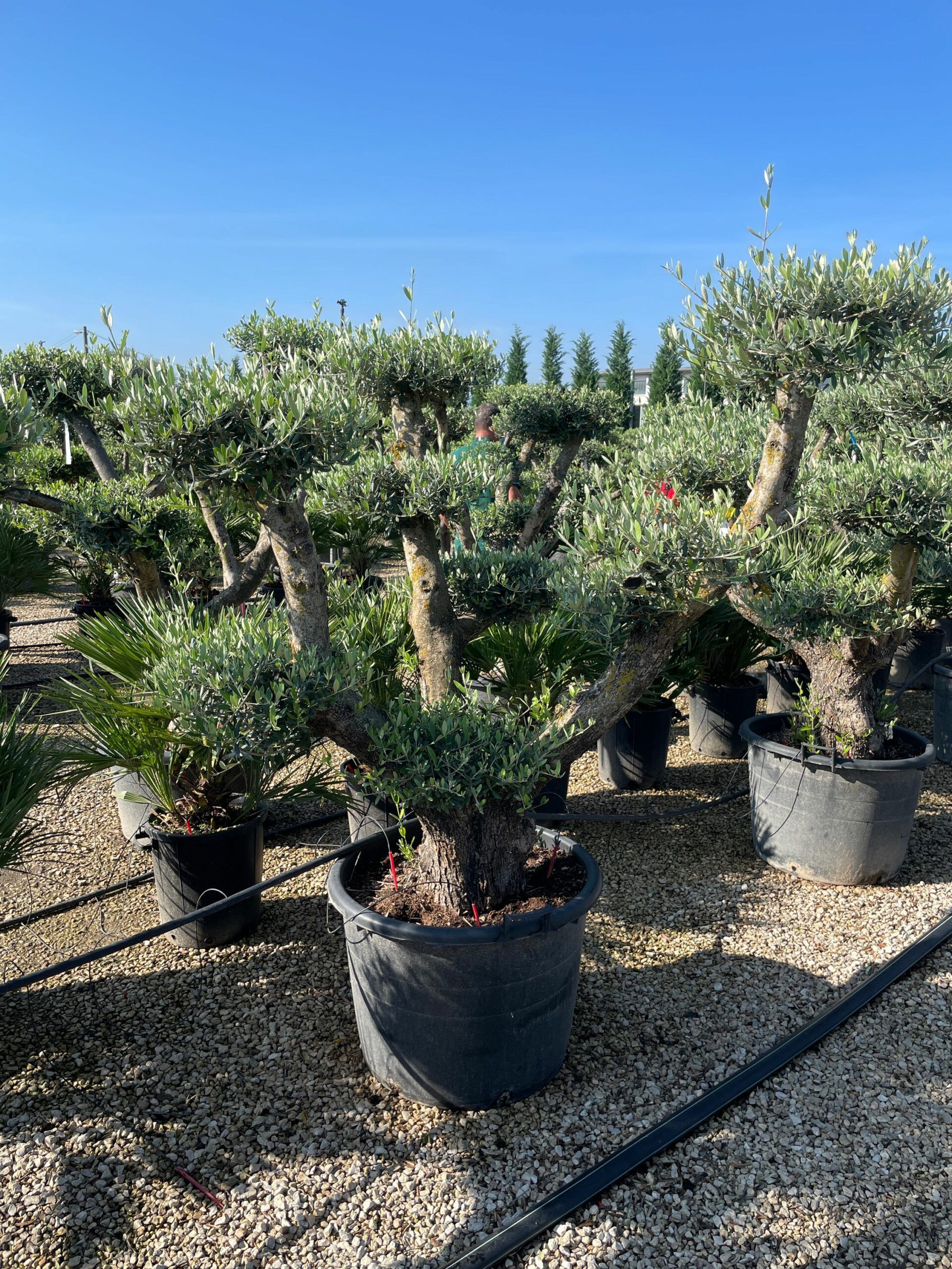 1632817498 scaled cbcf51ff