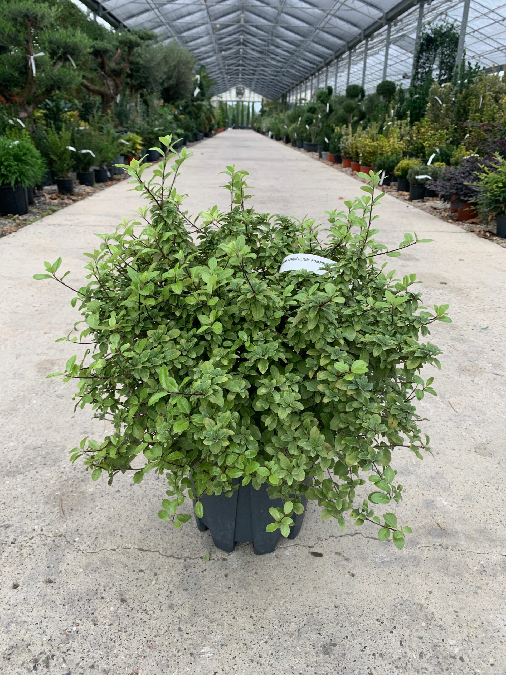 1634825992 scaled cb9c7796