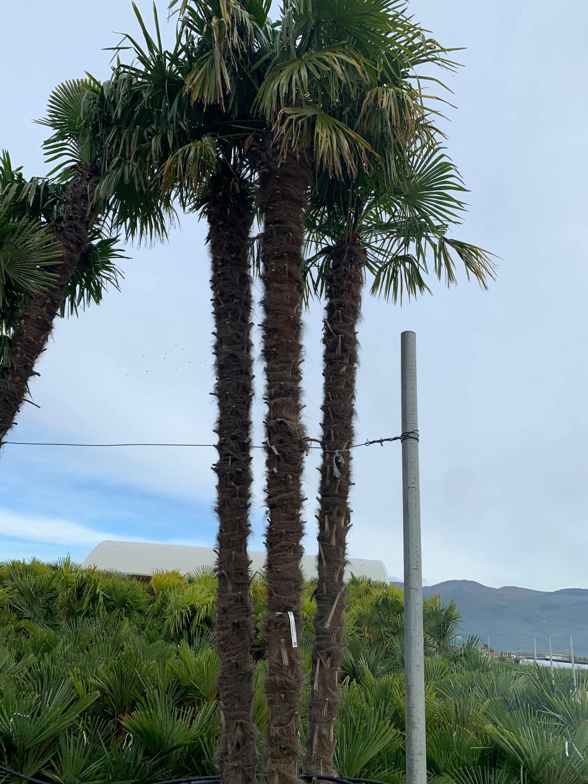 1636102646 scaled cbe8000f