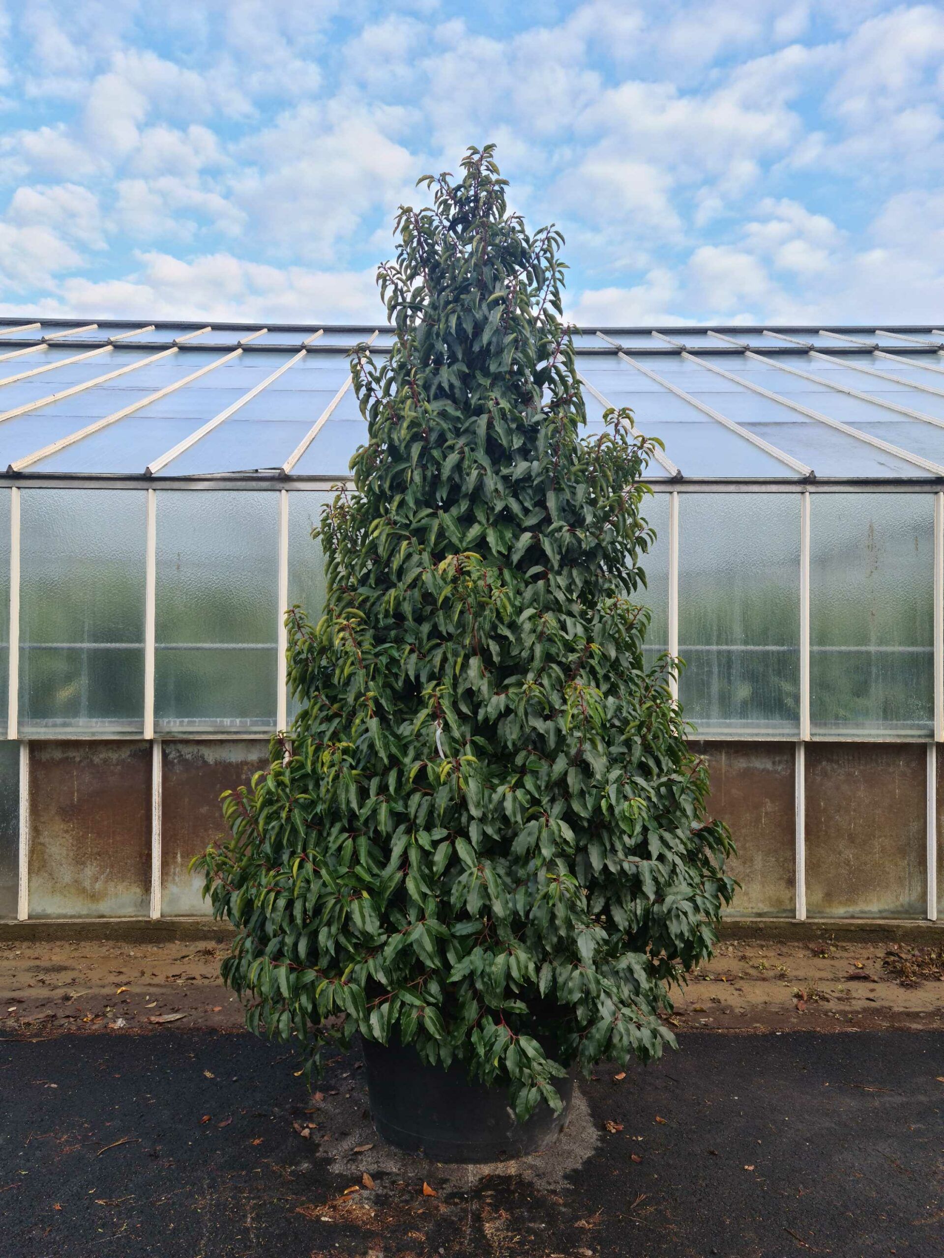 1640161399 scaled cbeaf923