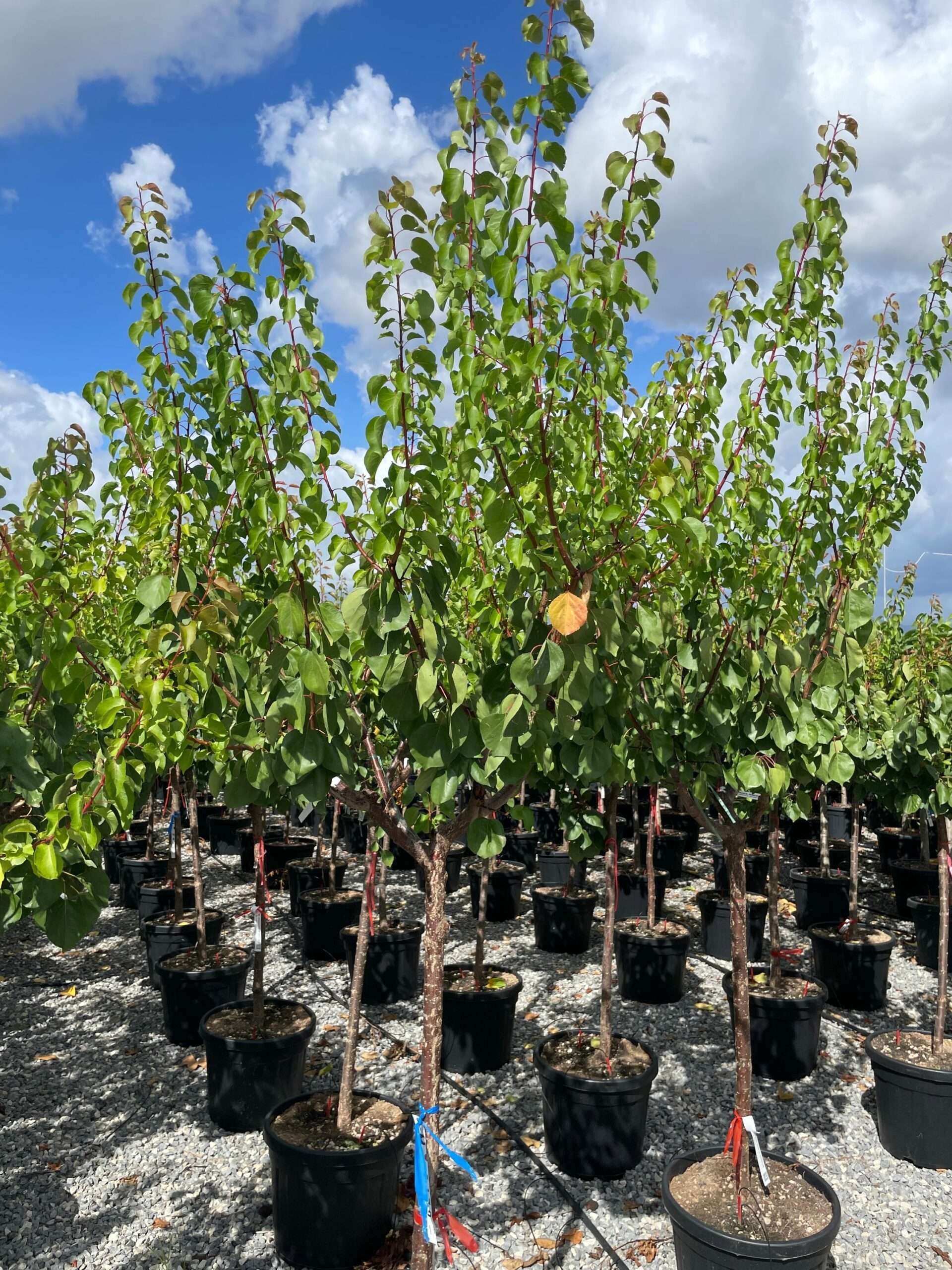 1662714572 scaled cb10d7ce