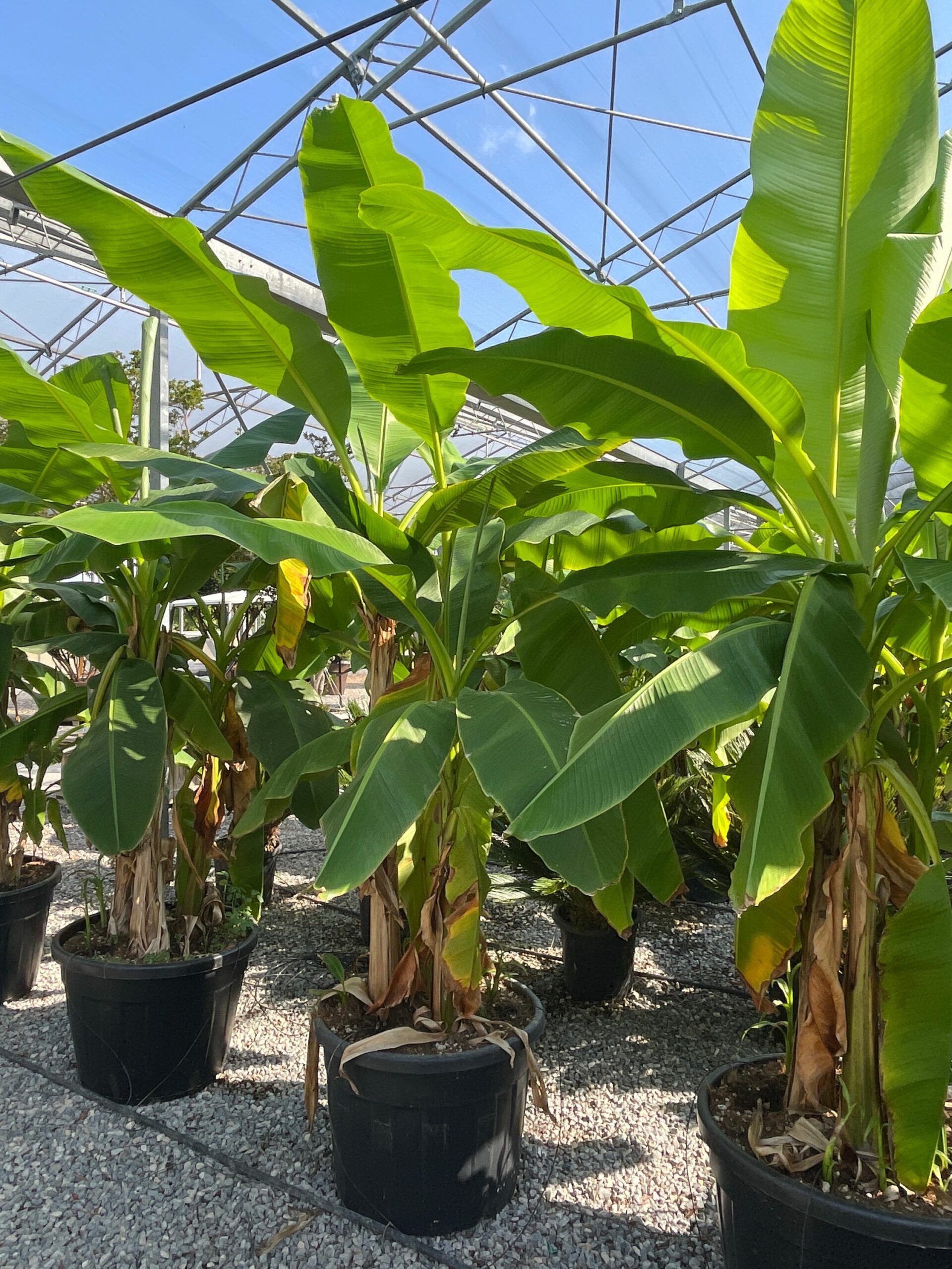 1691075225 scaled cb326df6