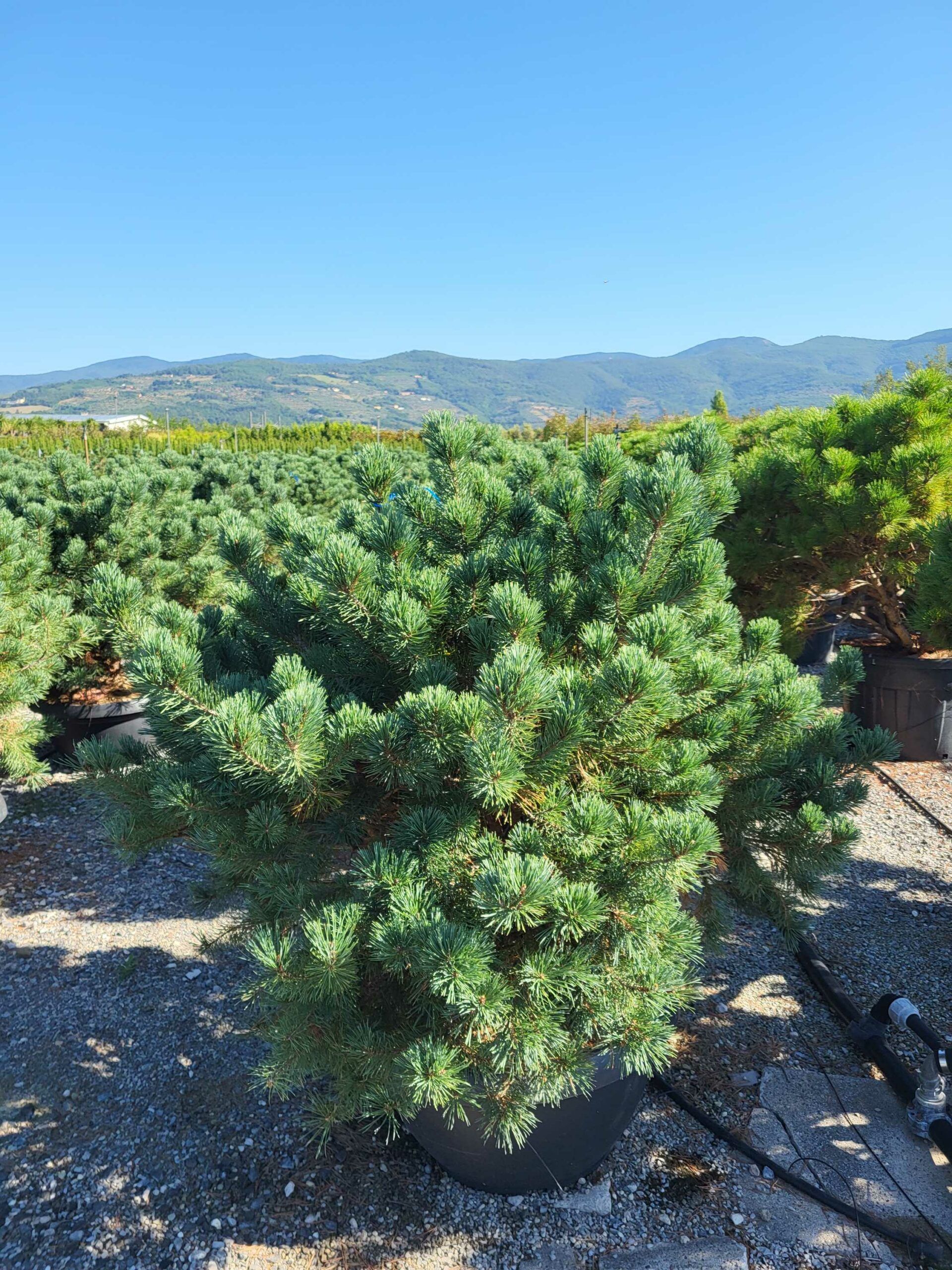 1691652877 scaled cbcd9fb3