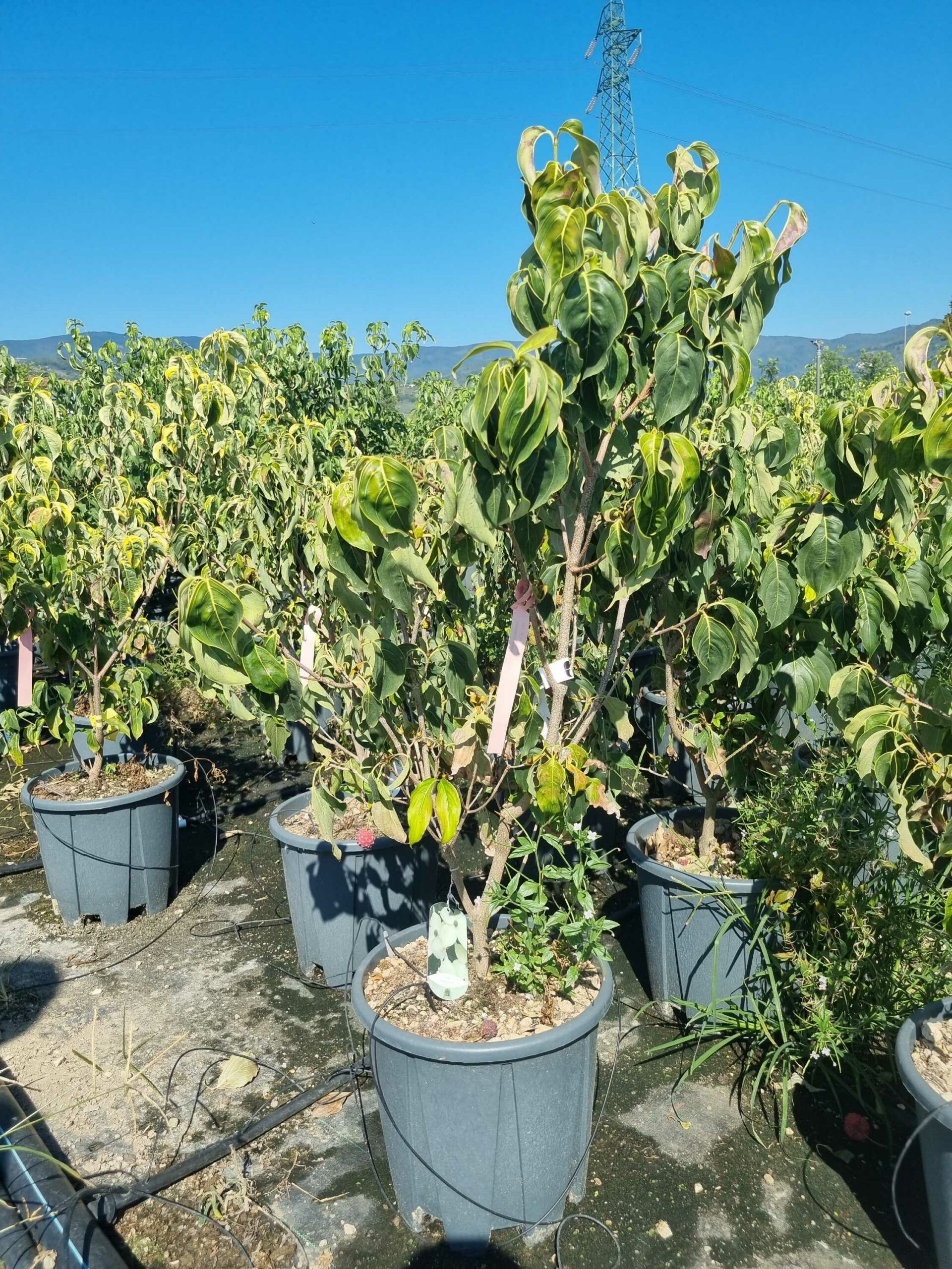 1694437885 scaled cb61fe48