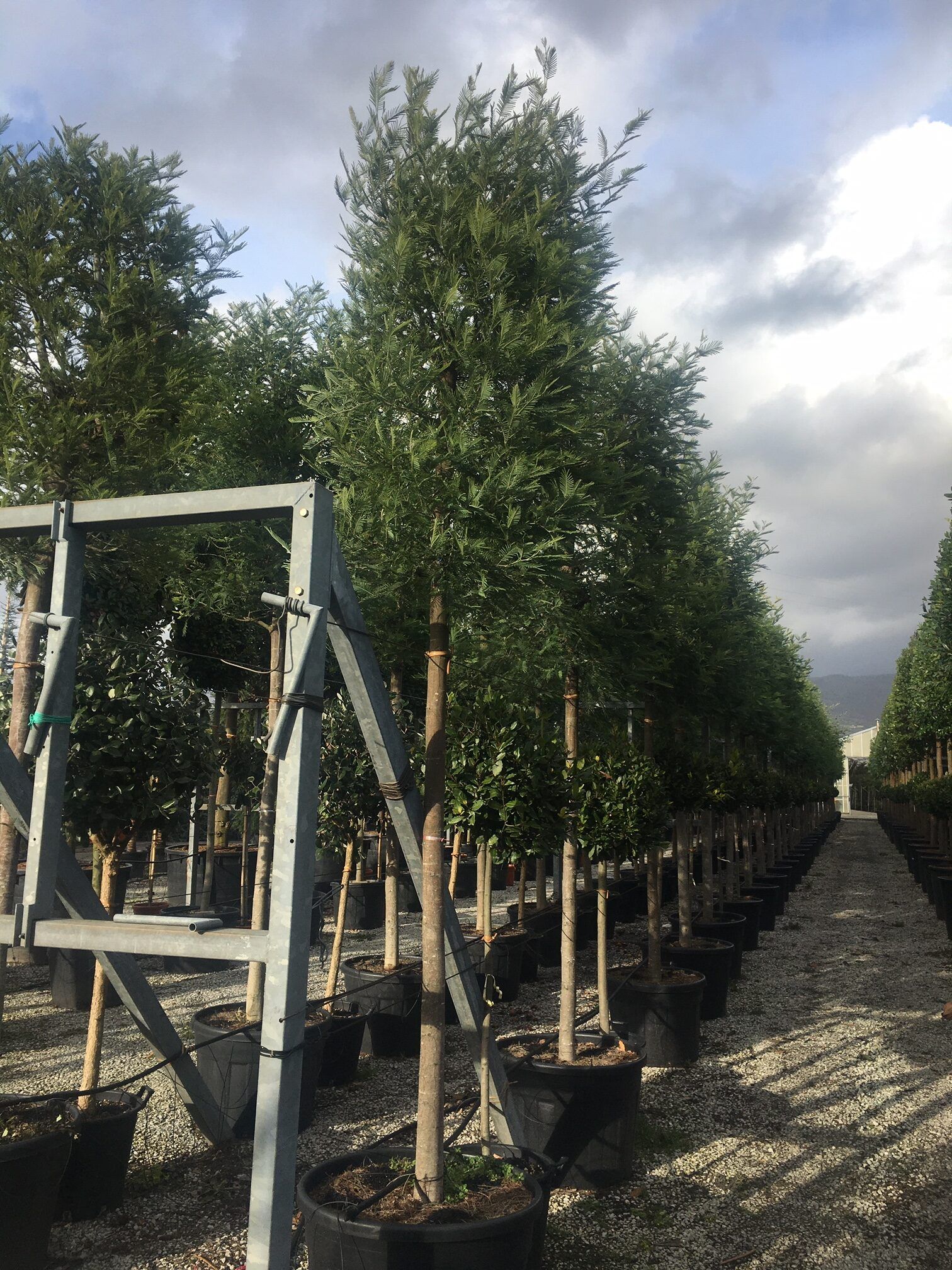 1608312292 rotated cc7227d8