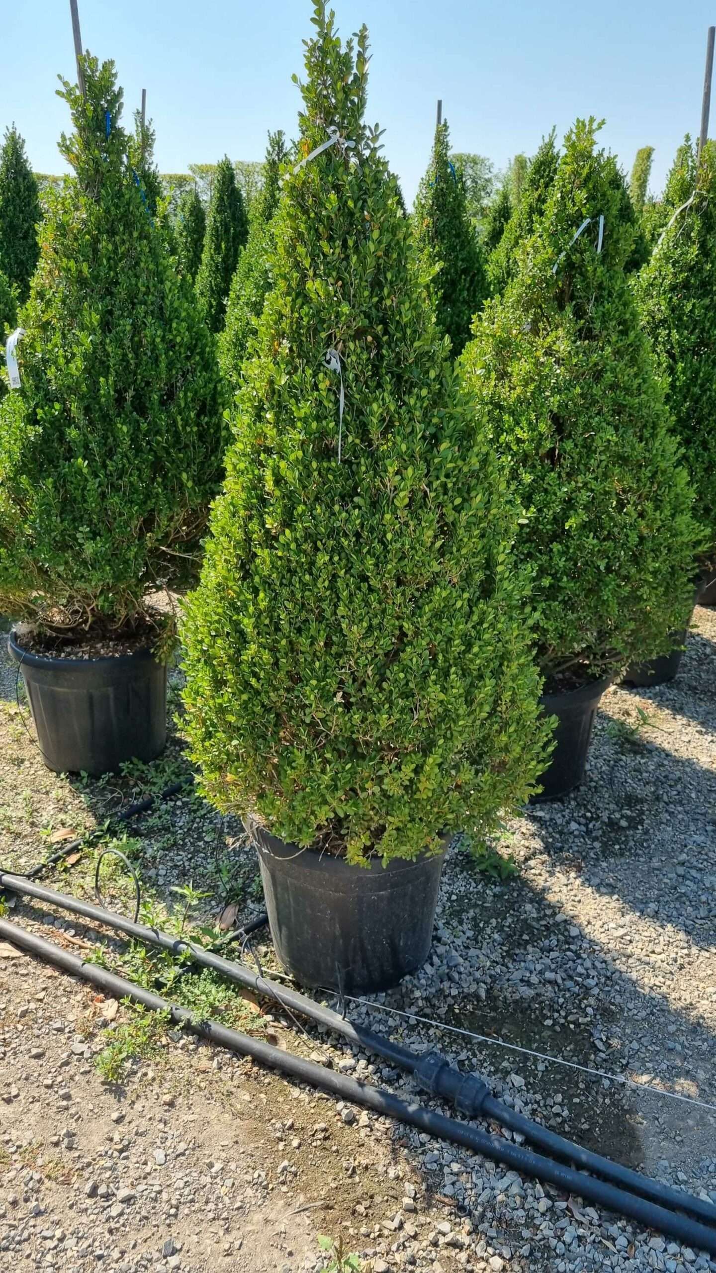 1658132031 scaled cc8e90fd