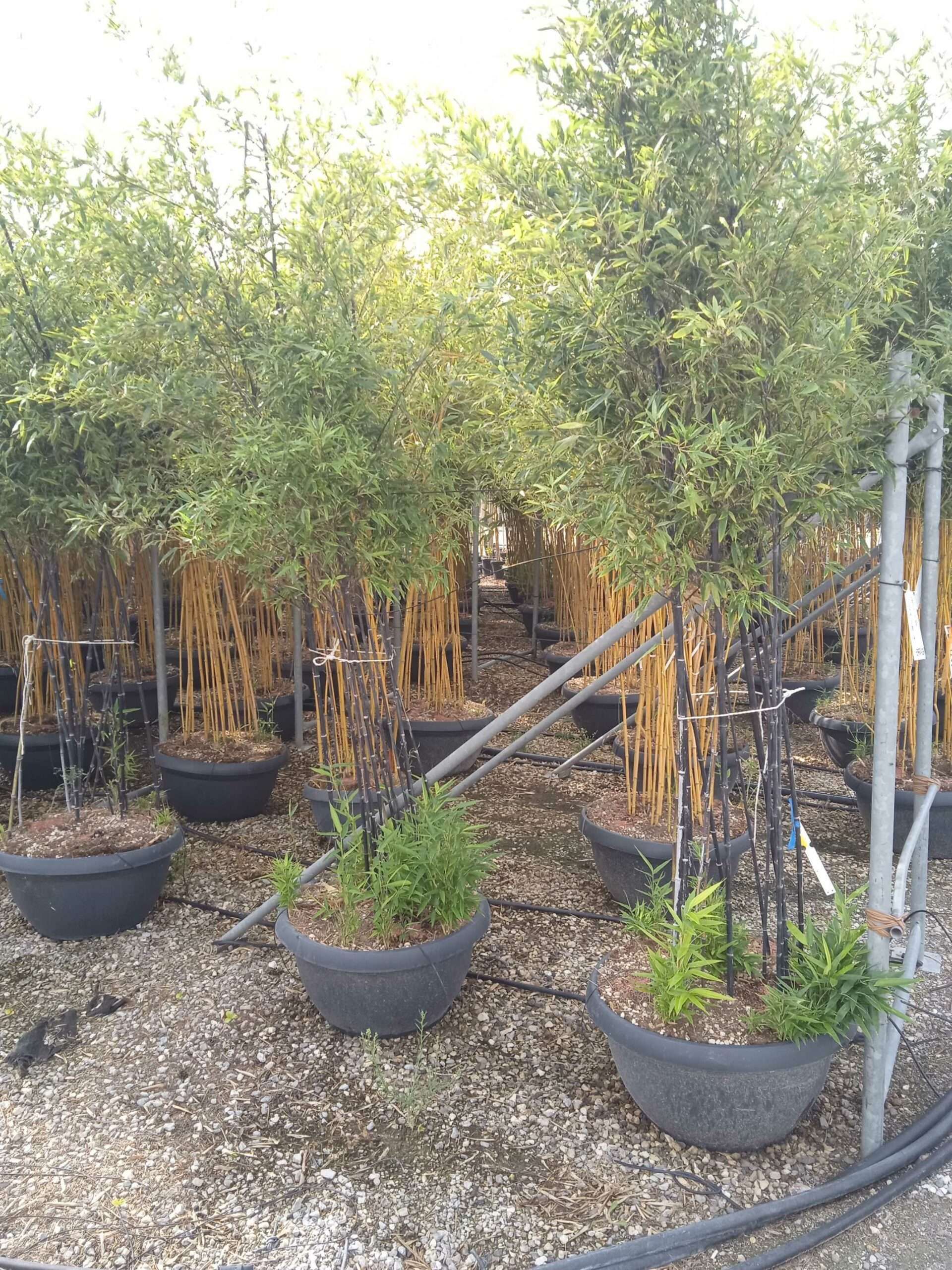 1662018092 scaled ccb591bd