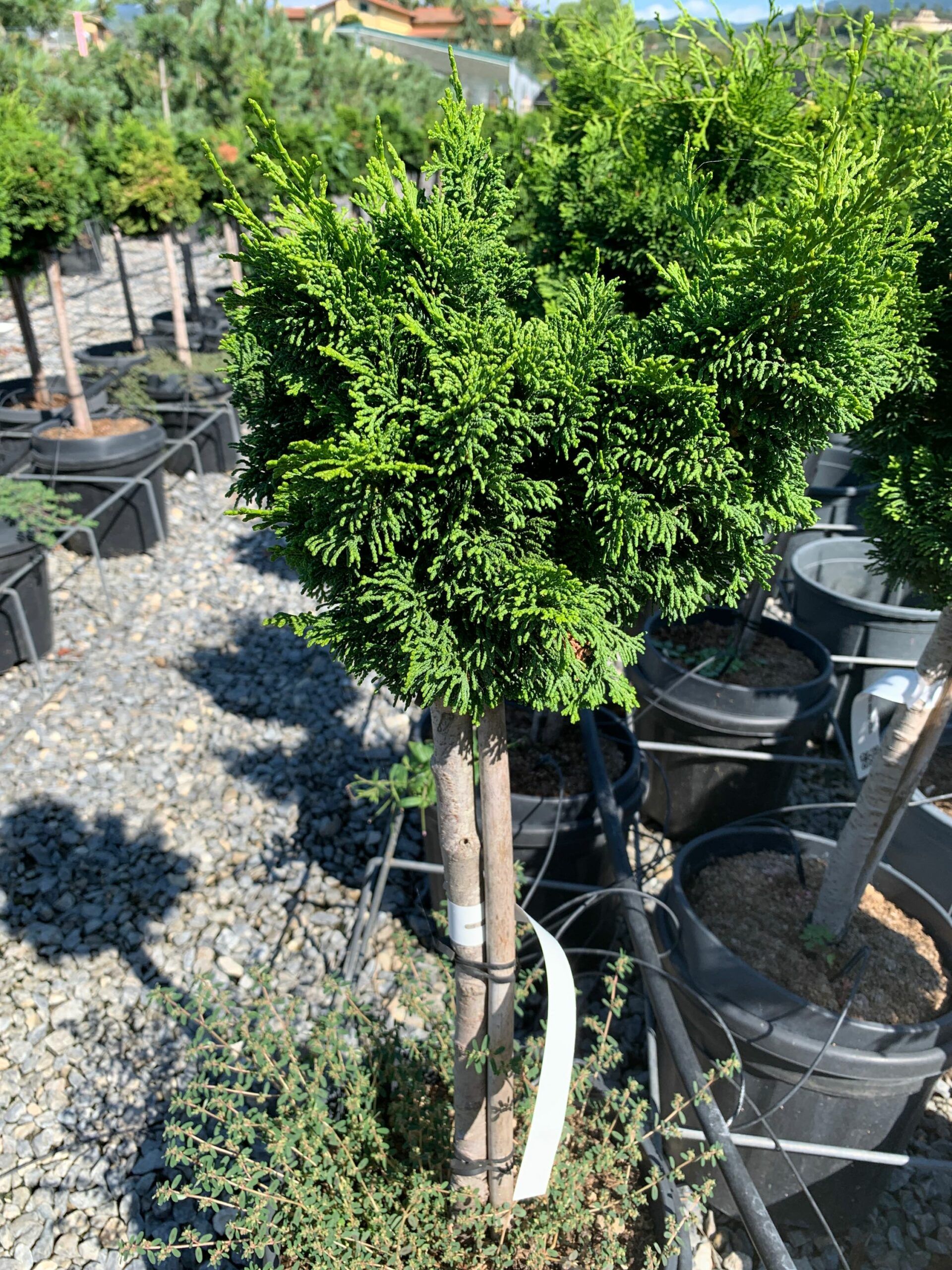 1662109328 scaled ccbba6b8