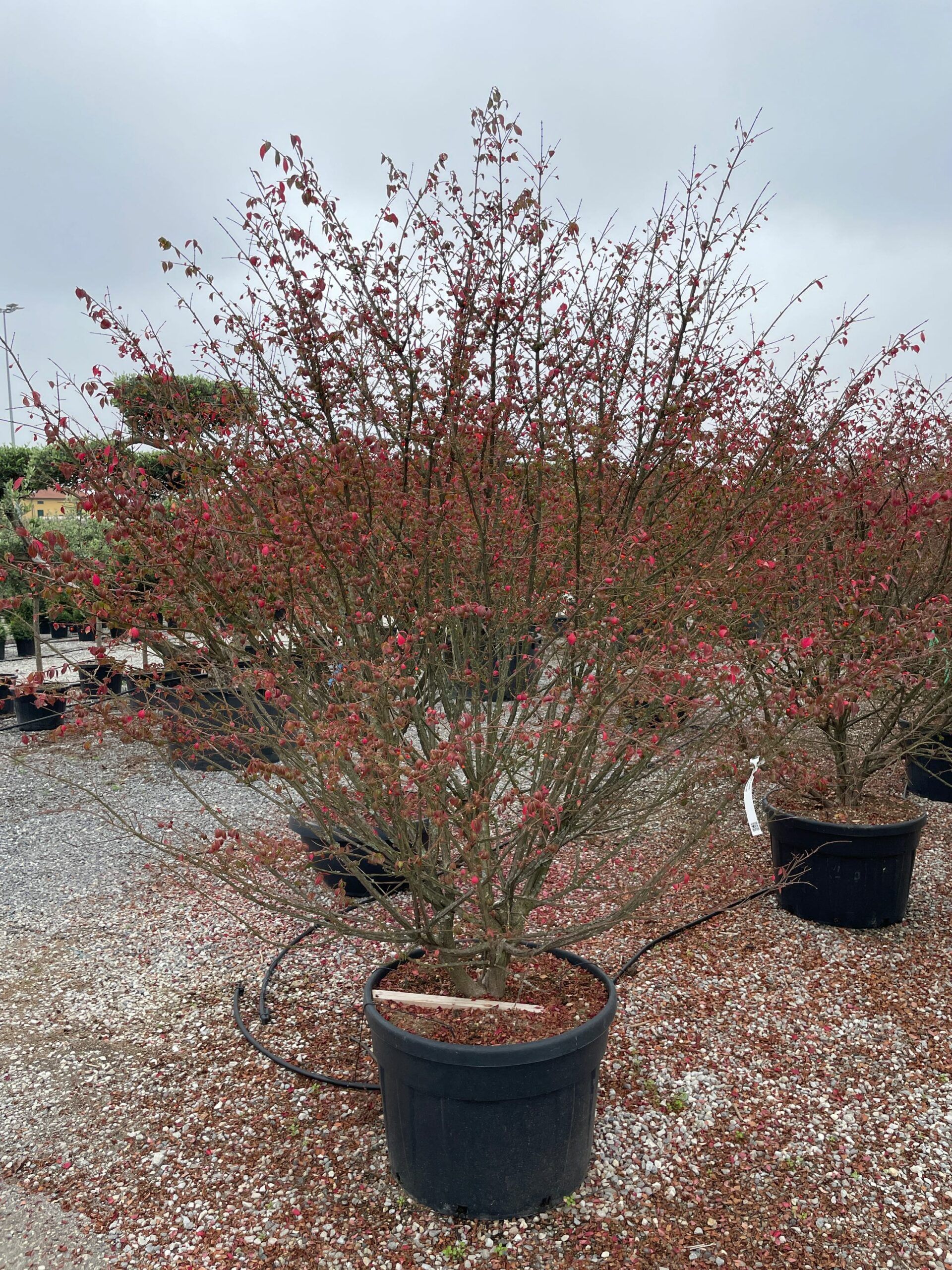 1666173408 scaled cce0eb27