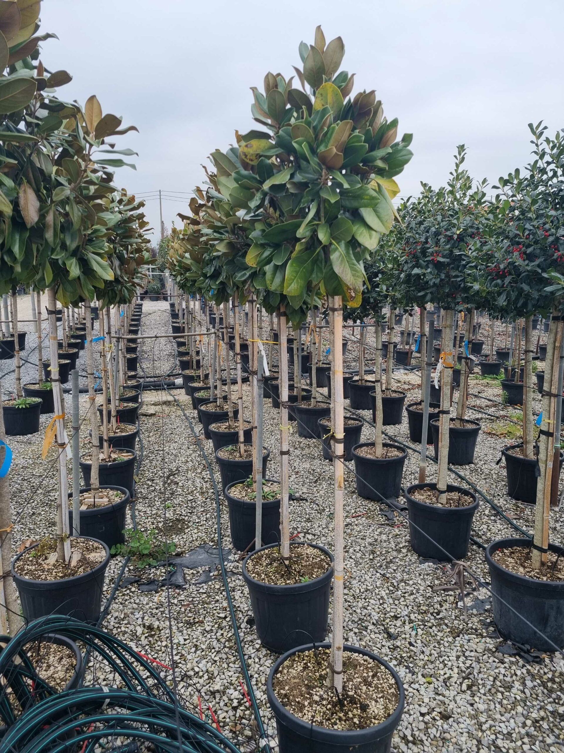 1677247011 scaled ccb5cae1