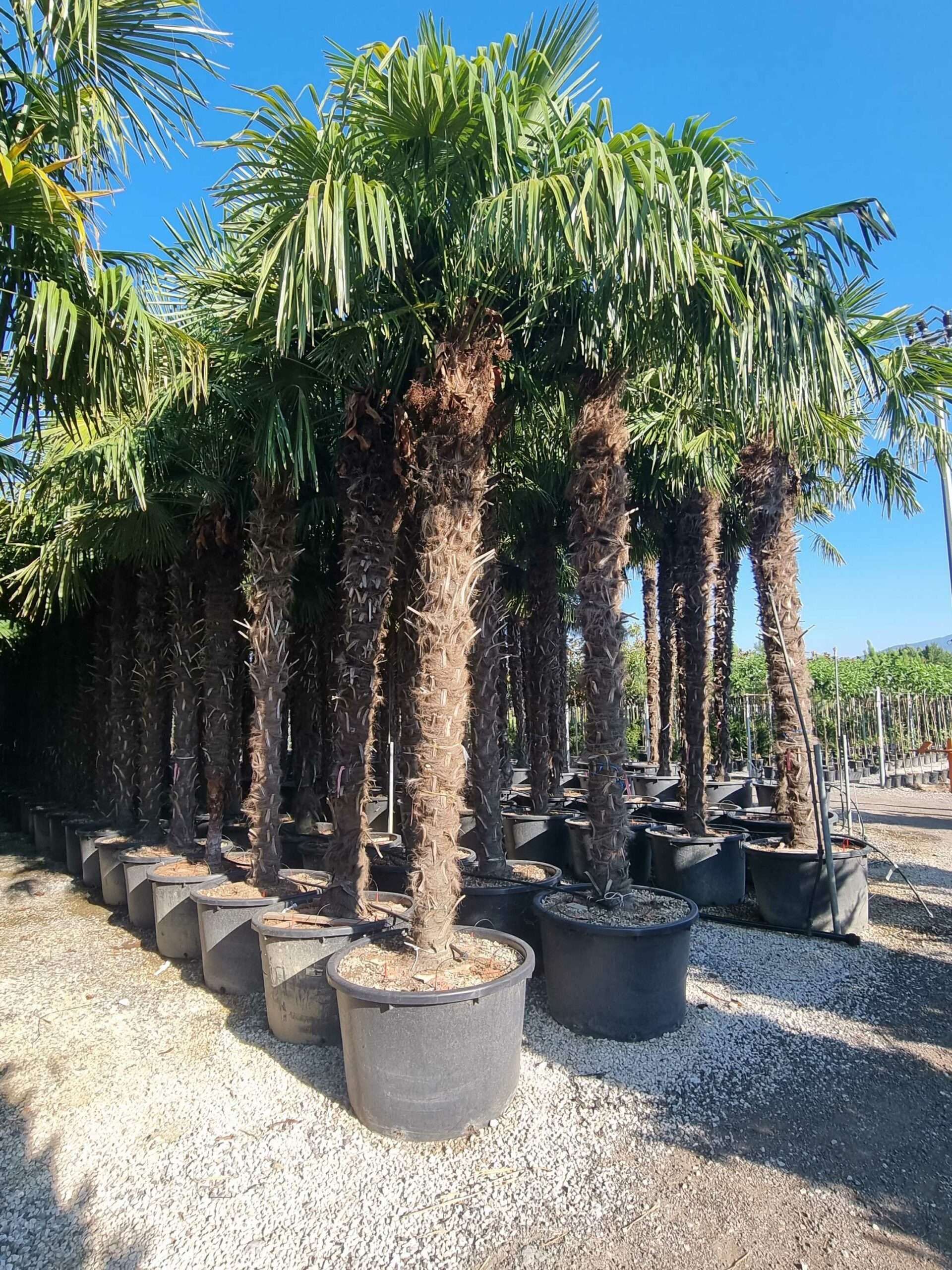 1692687277 scaled cc8a2908