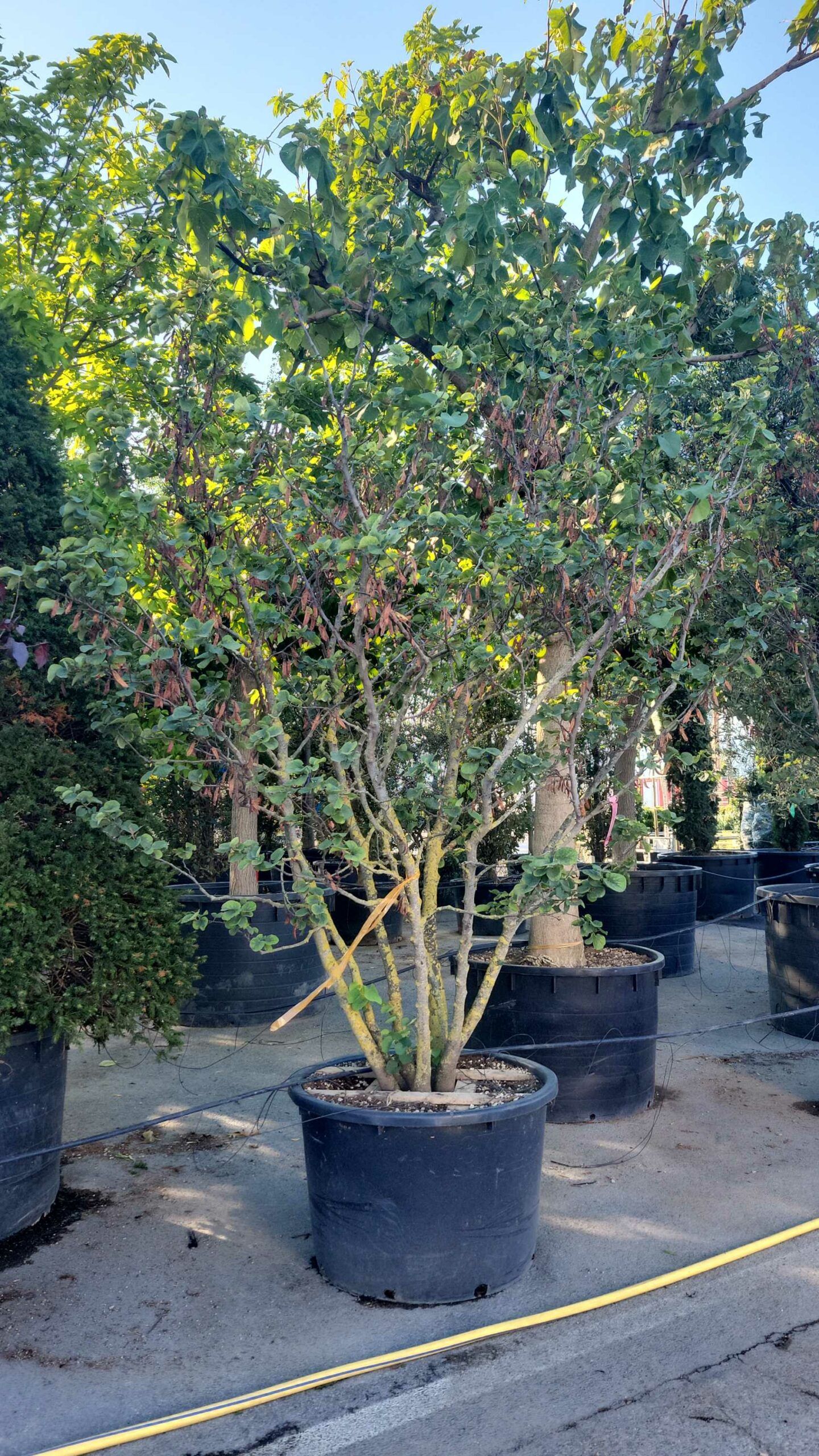 1694187297 scaled ccc68d3e