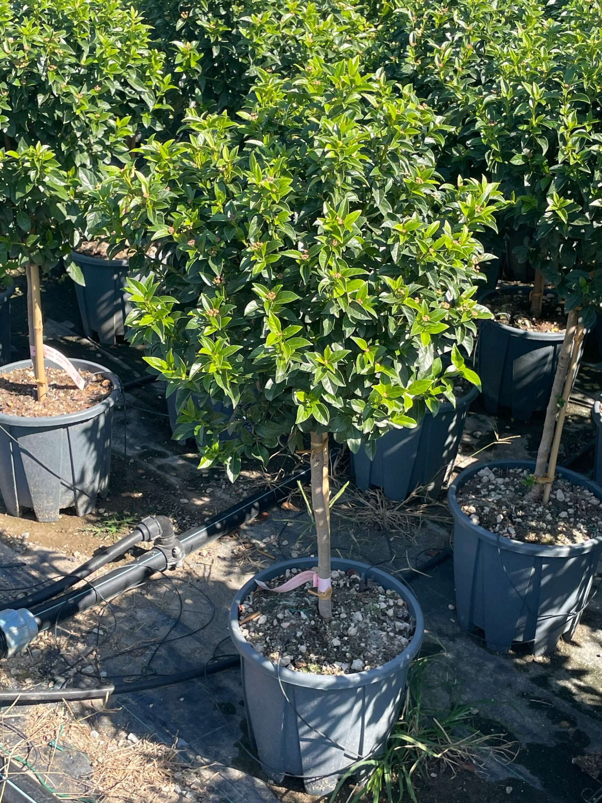 1695810125 scaled cc39277d