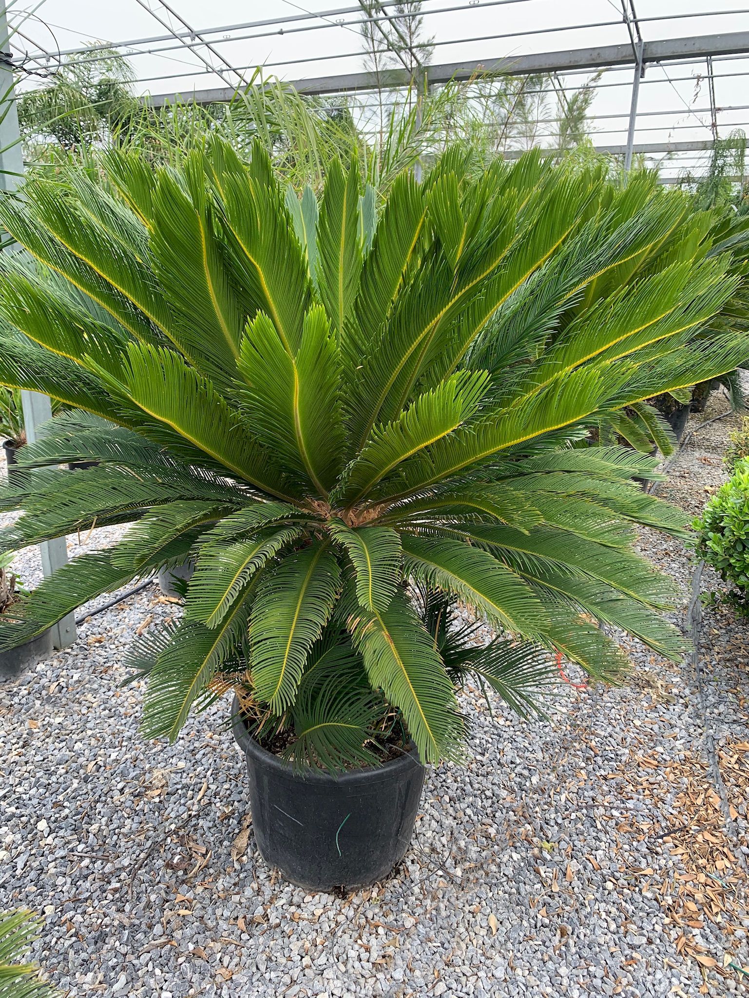 1619784777 IMG 0102 cd694898