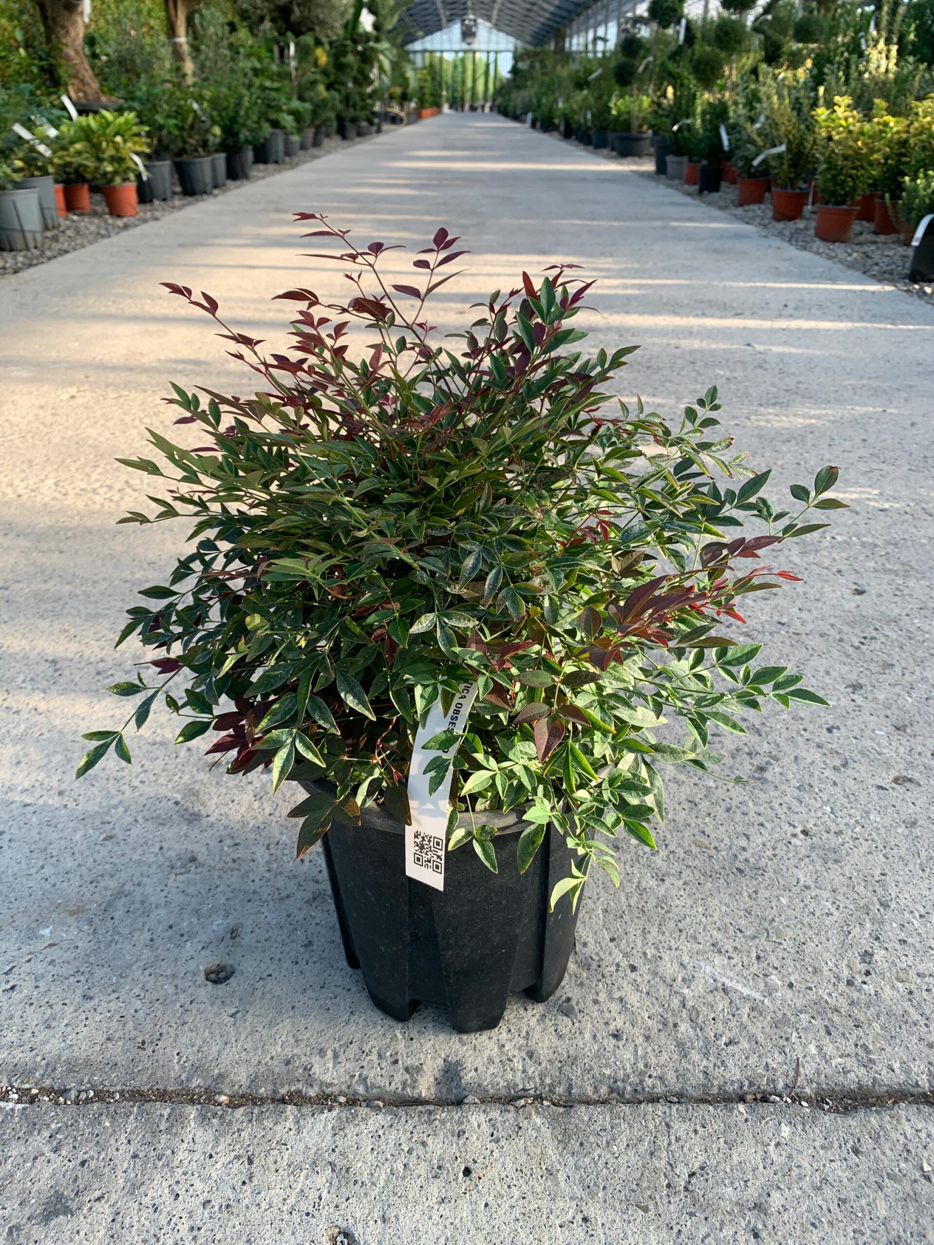 1632811028 scaled cd7ec827