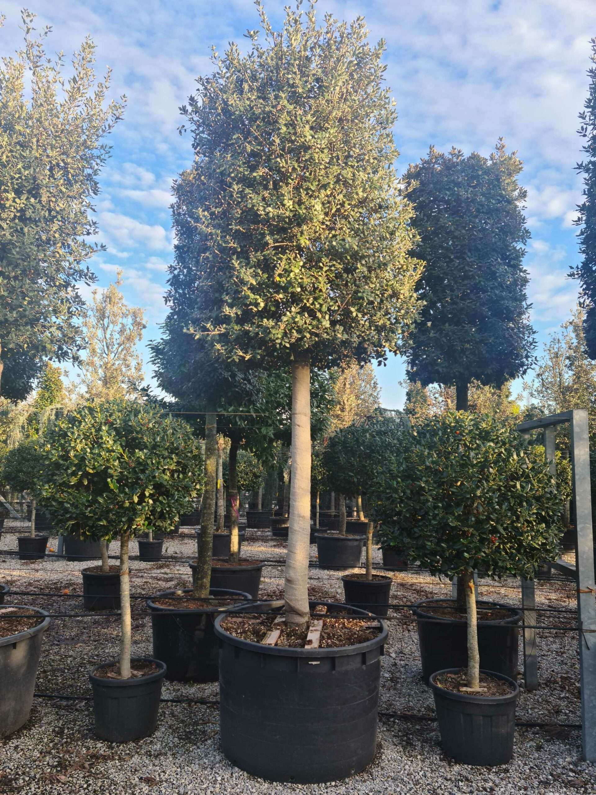 1639405310 scaled cd35f0ea