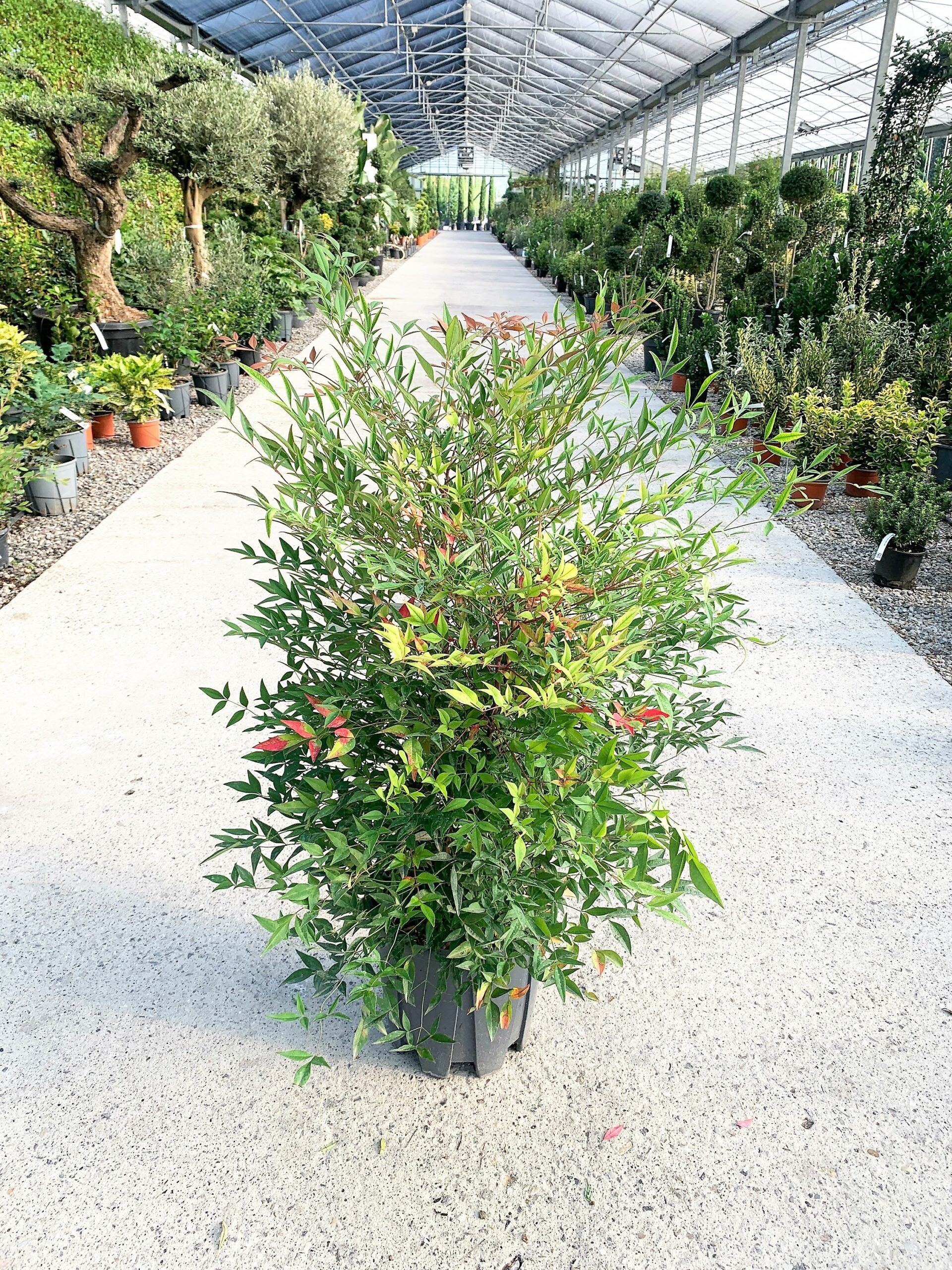 1650532993 1632812950 scaled cd16e2c5