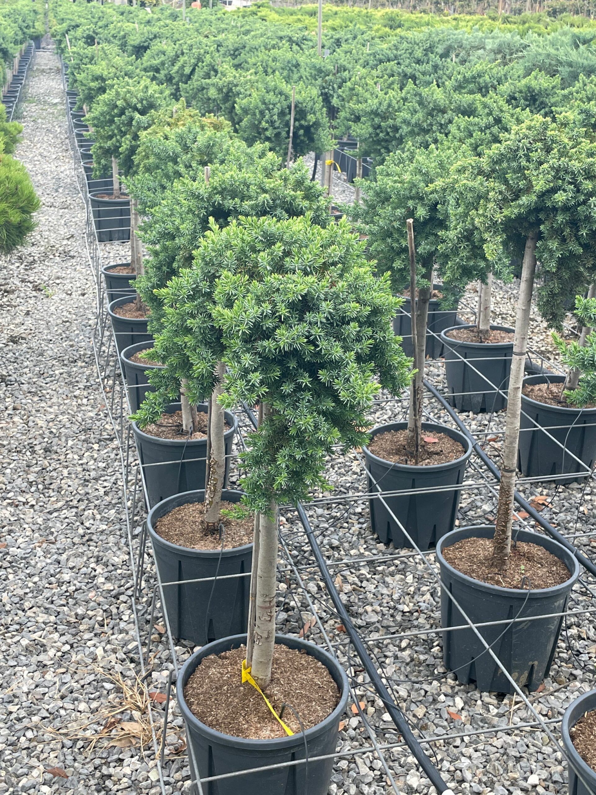 1661952284 scaled cdaabe5e