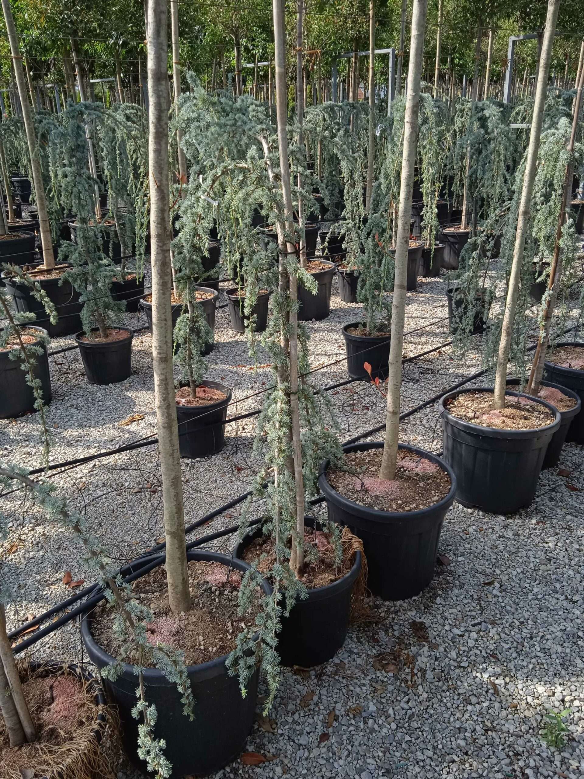 1662126412 scaled cddbd18b