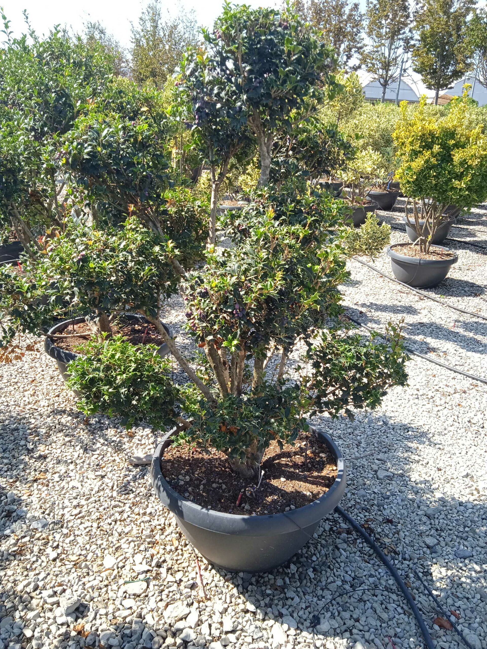 1662543194 scaled cd756ea0