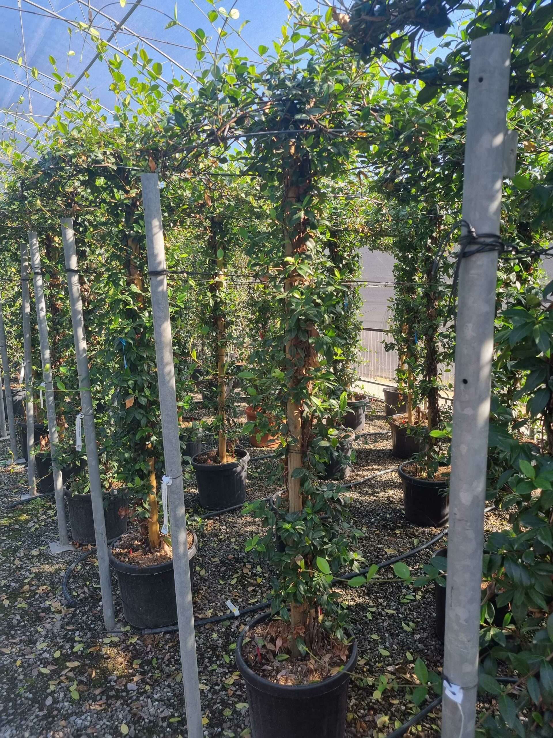 1663575129 scaled cdcfcff6