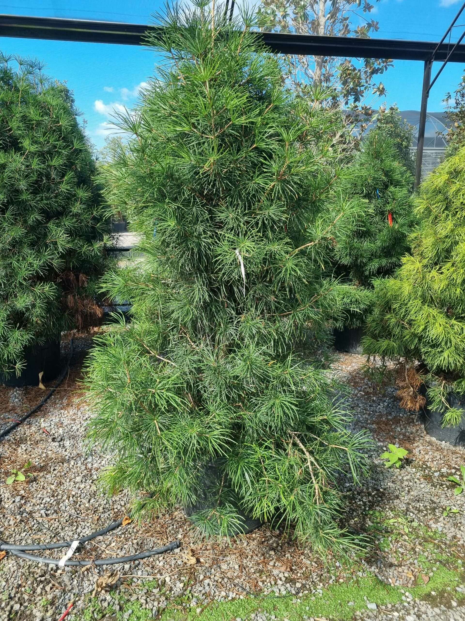 1663579362 scaled cd252ee3