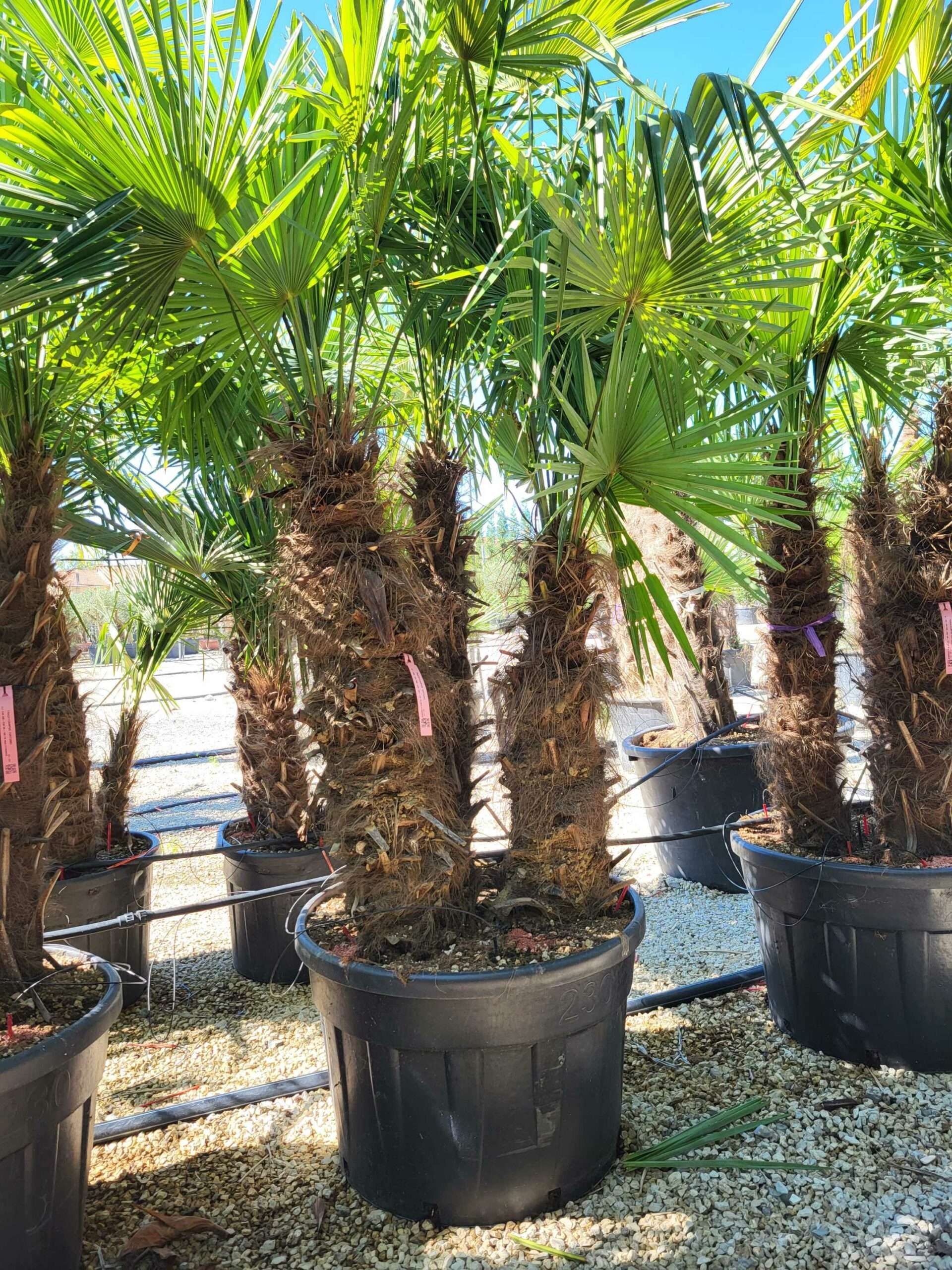 1691483054 scaled cd458681