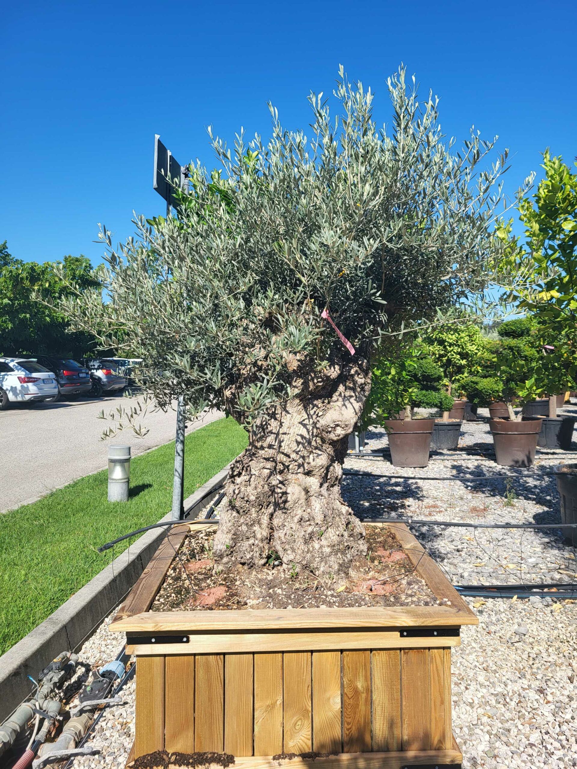 1691655271 scaled cdef28f8