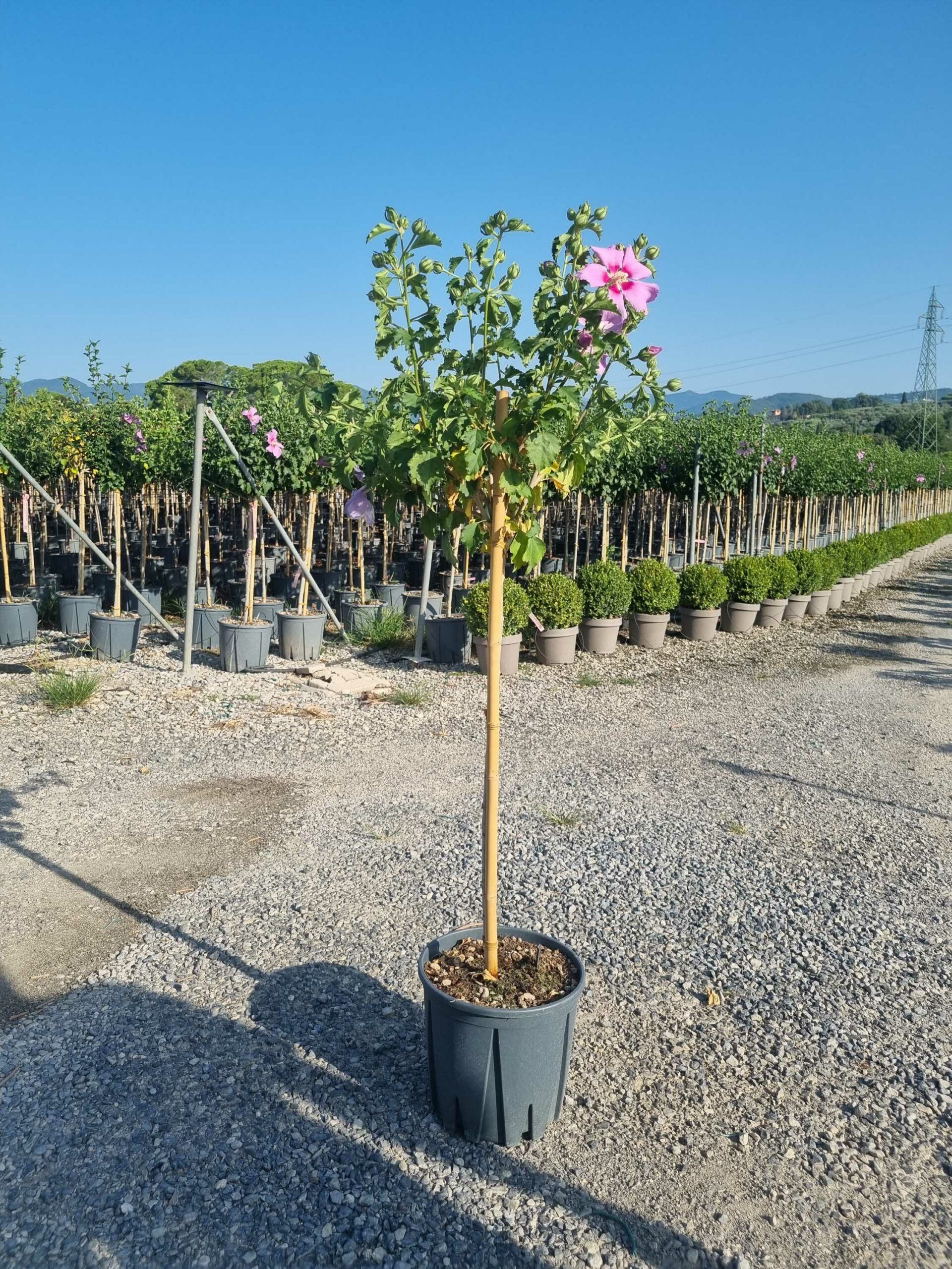 1692947161 scaled cdeb4416