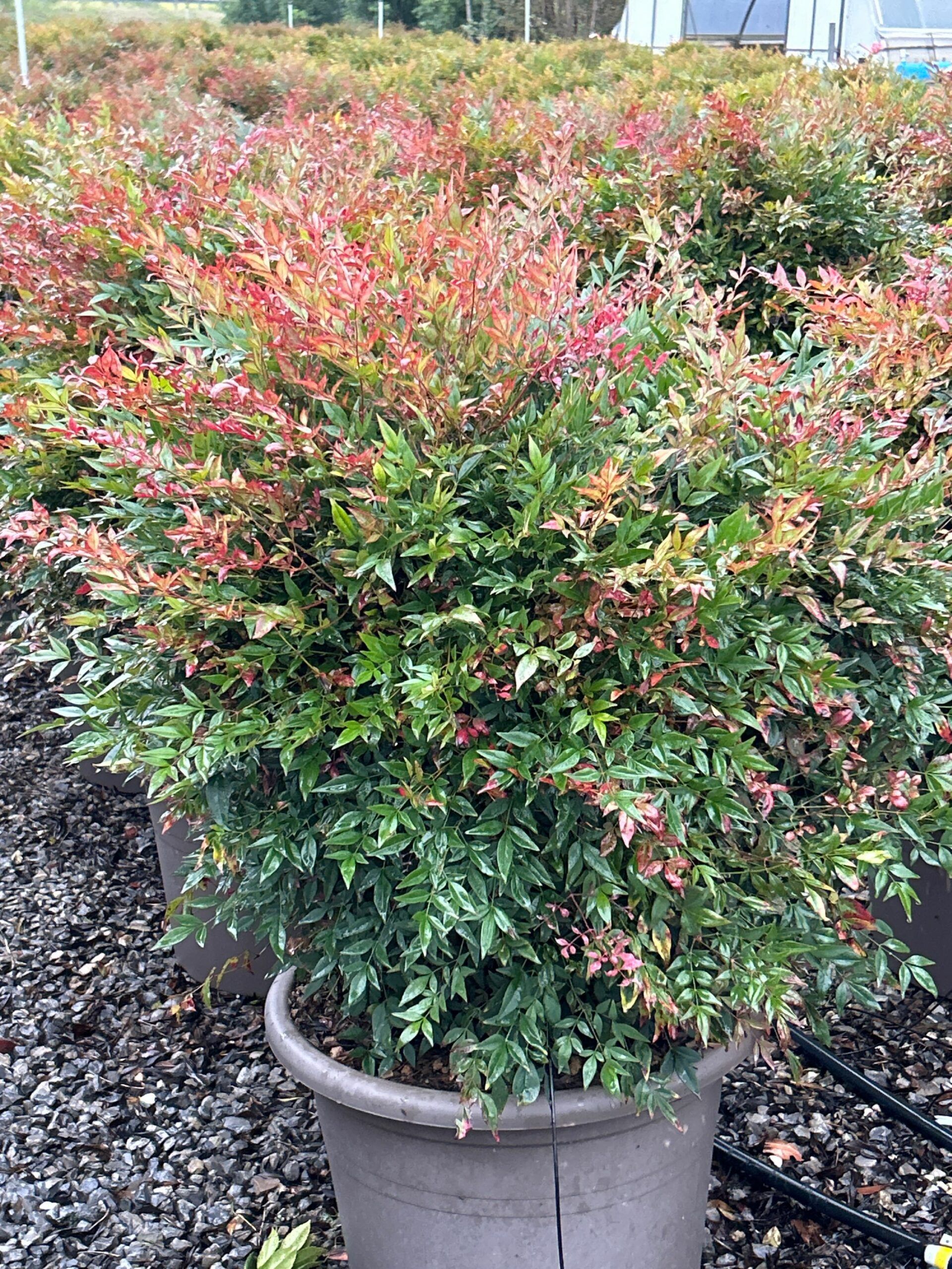 1698161399 scaled cdd6cb63