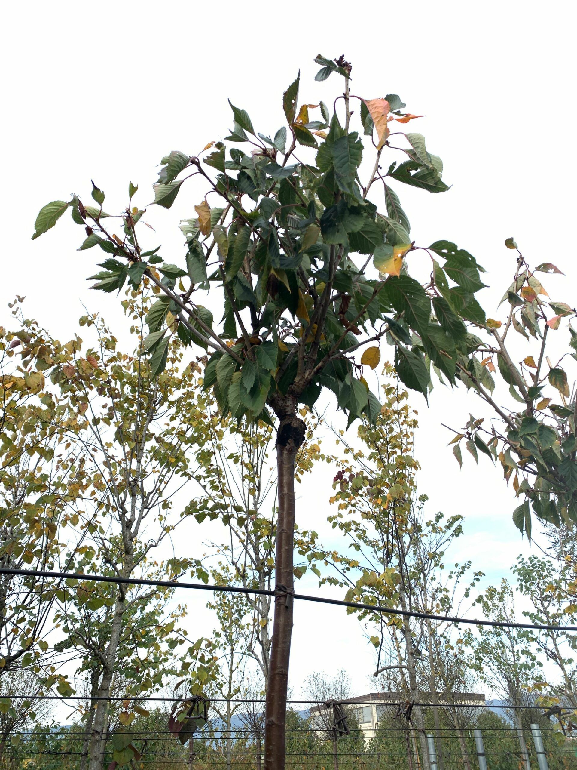 1636101540 scaled ce9019ee