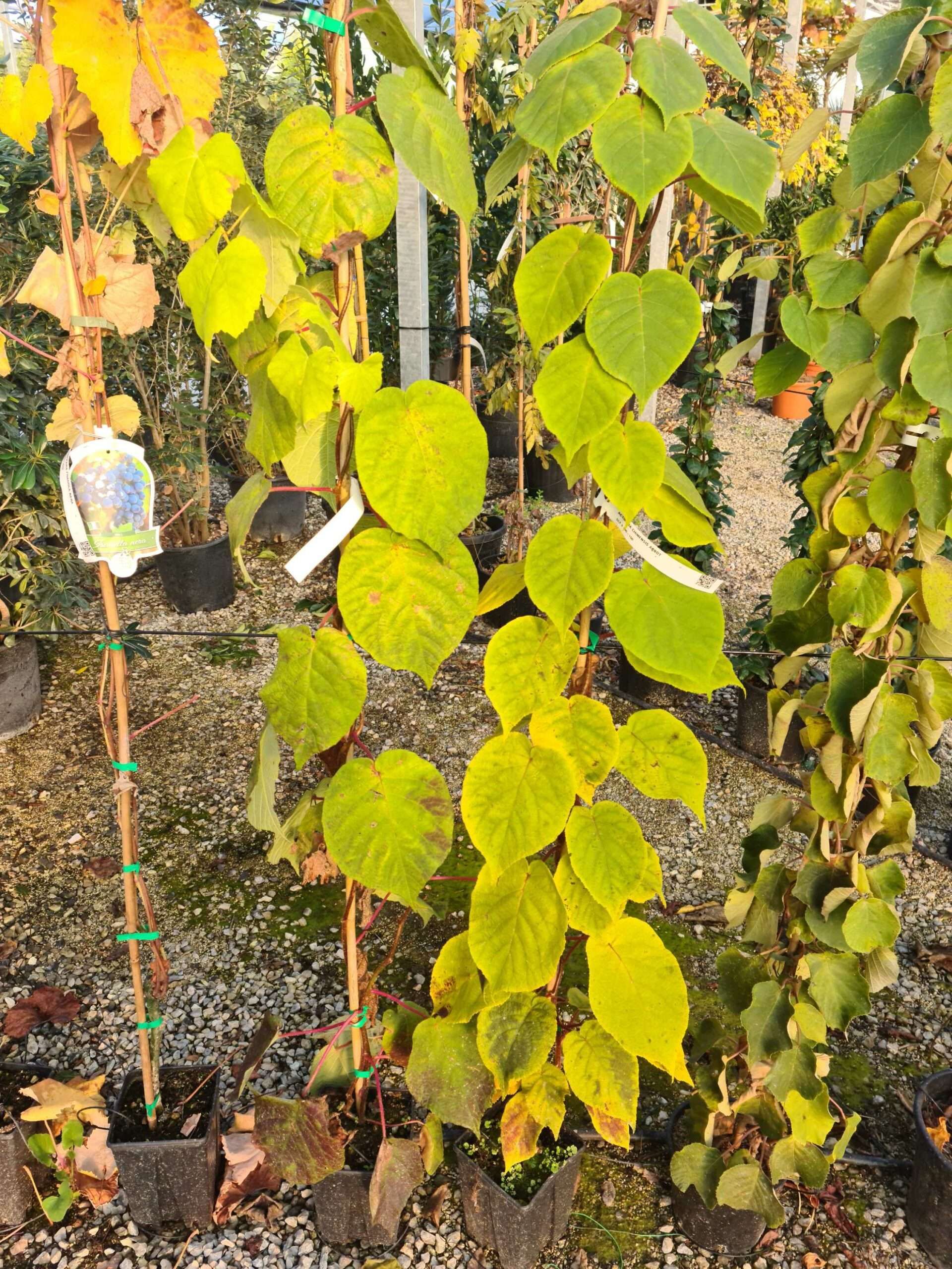 1639471085 scaled cee13d99