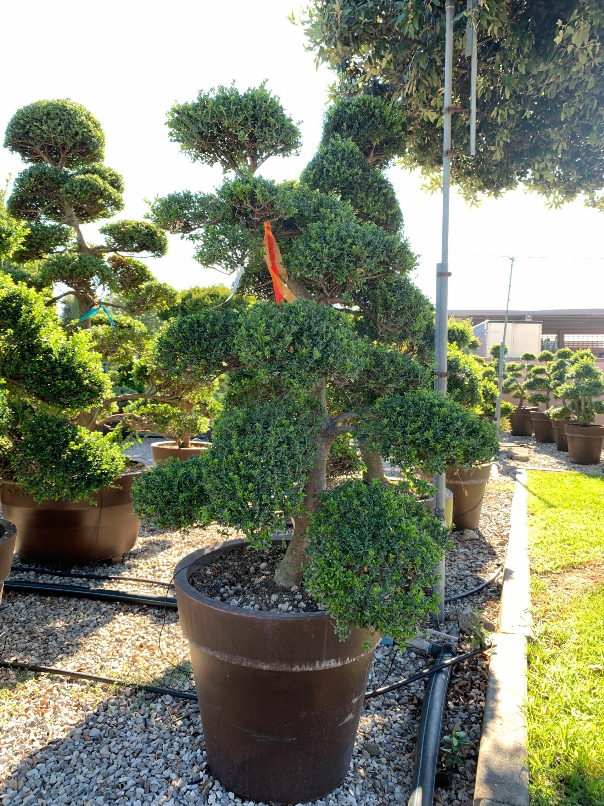 1659598450 scaled cef3bbc3