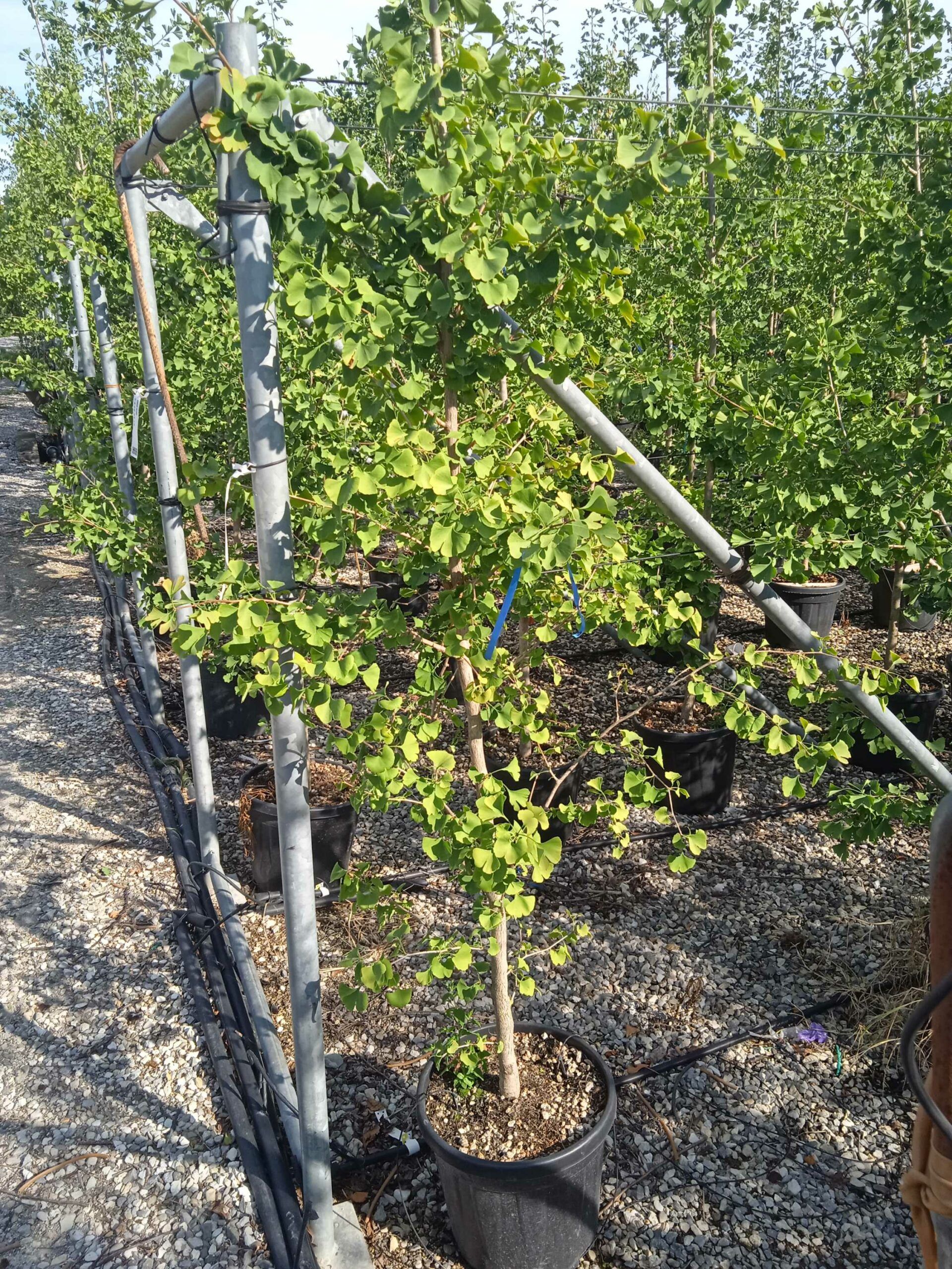 1662043621 scaled cedd43c7