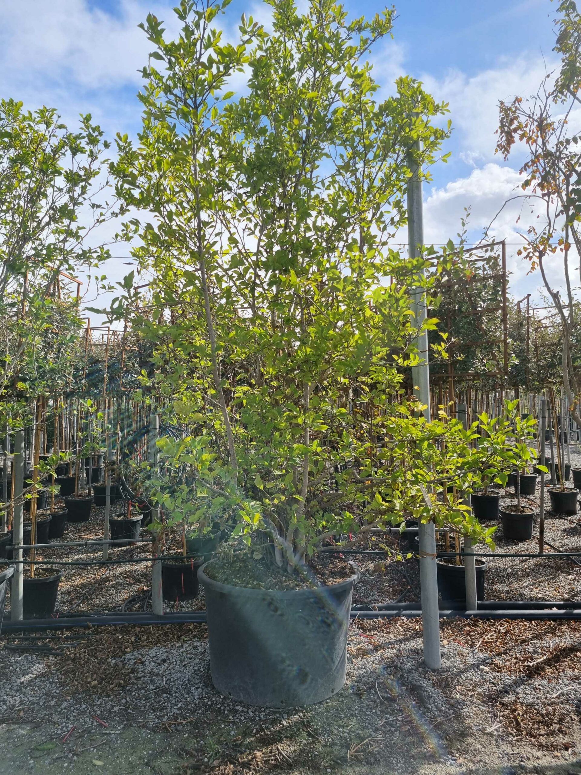 1664441962 scaled ce7773bc