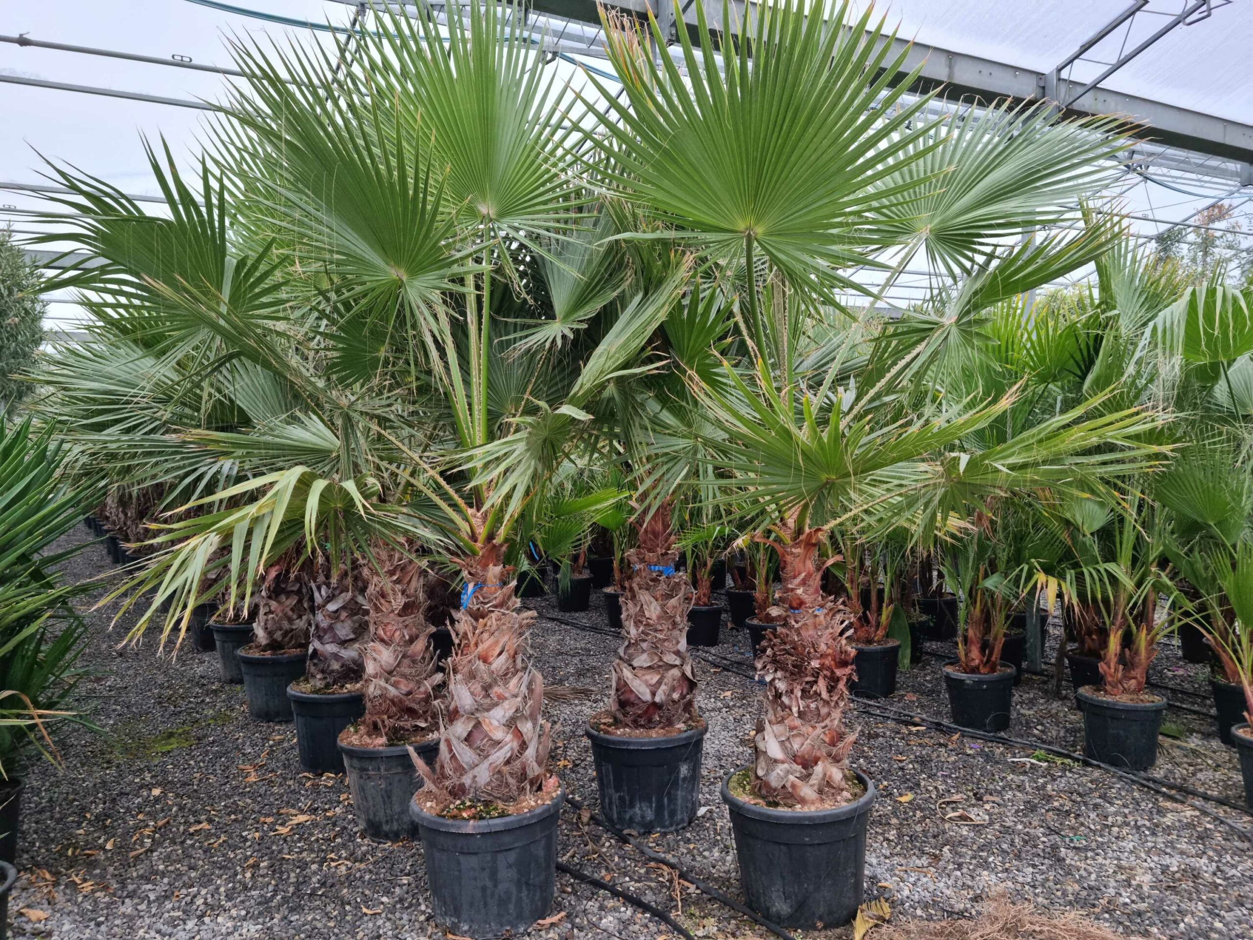 1677831098 scaled ce3f68d9