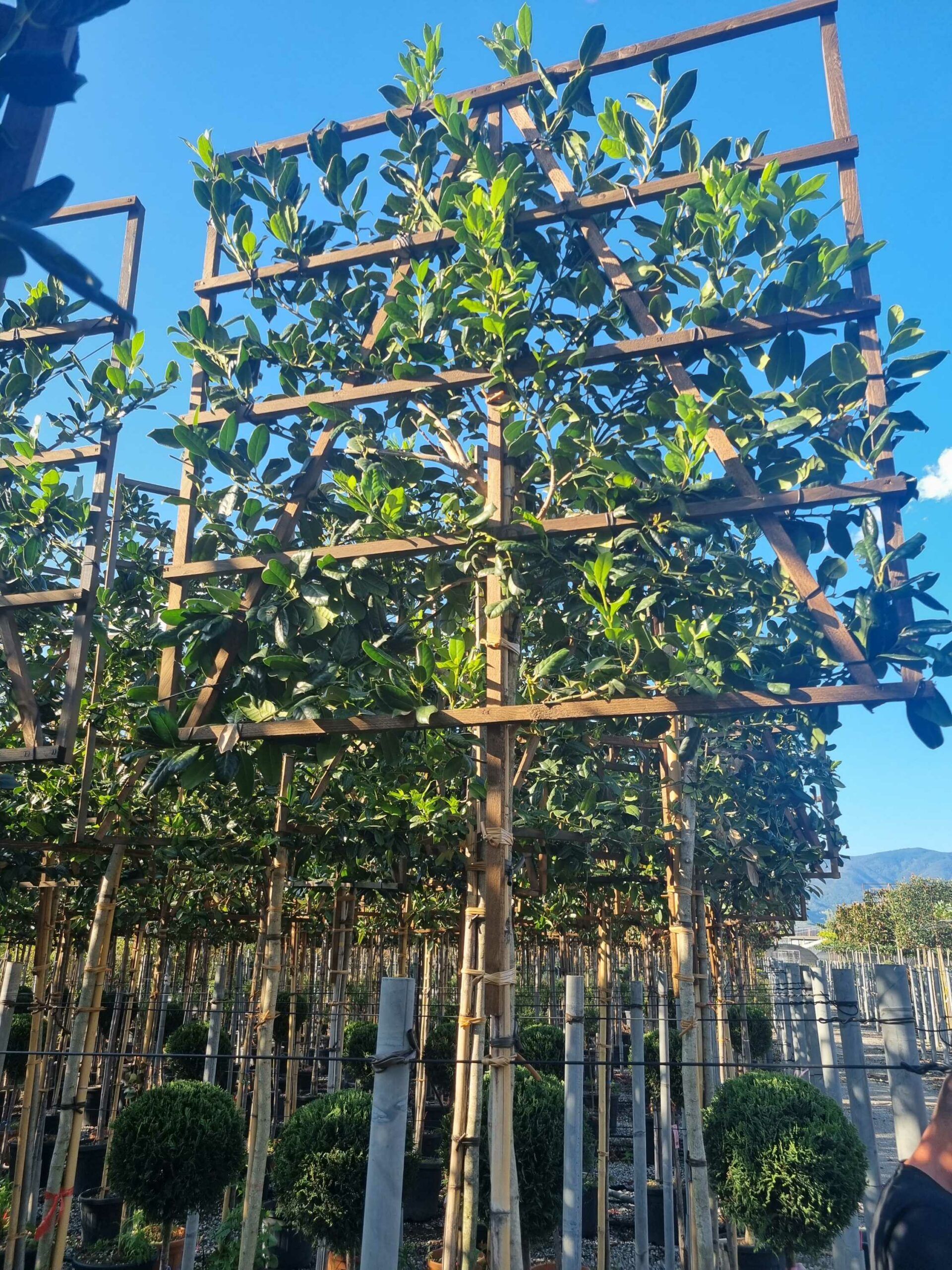 1695654228 scaled ce65d31f