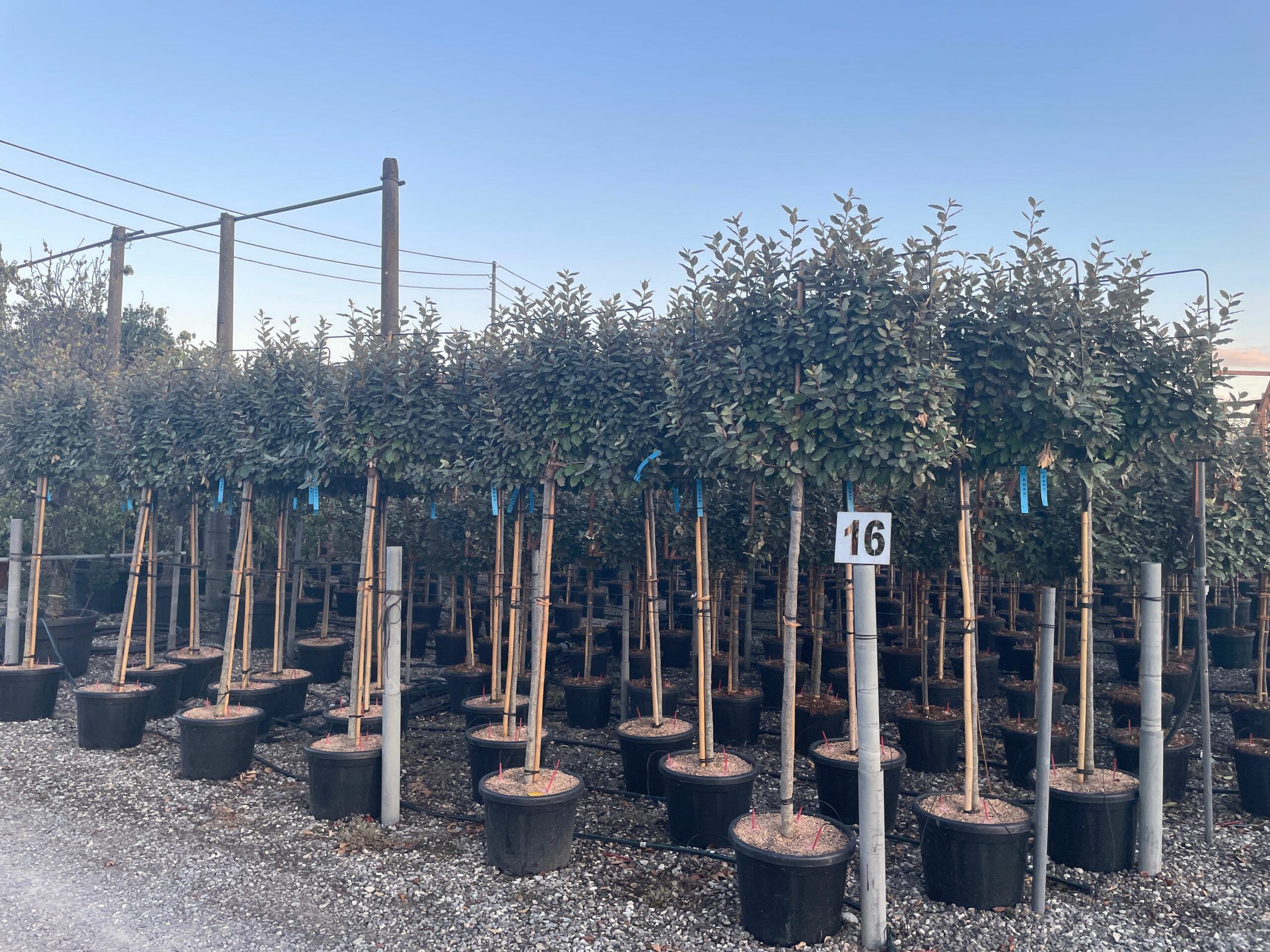 1630517513 scaled cfb2a633