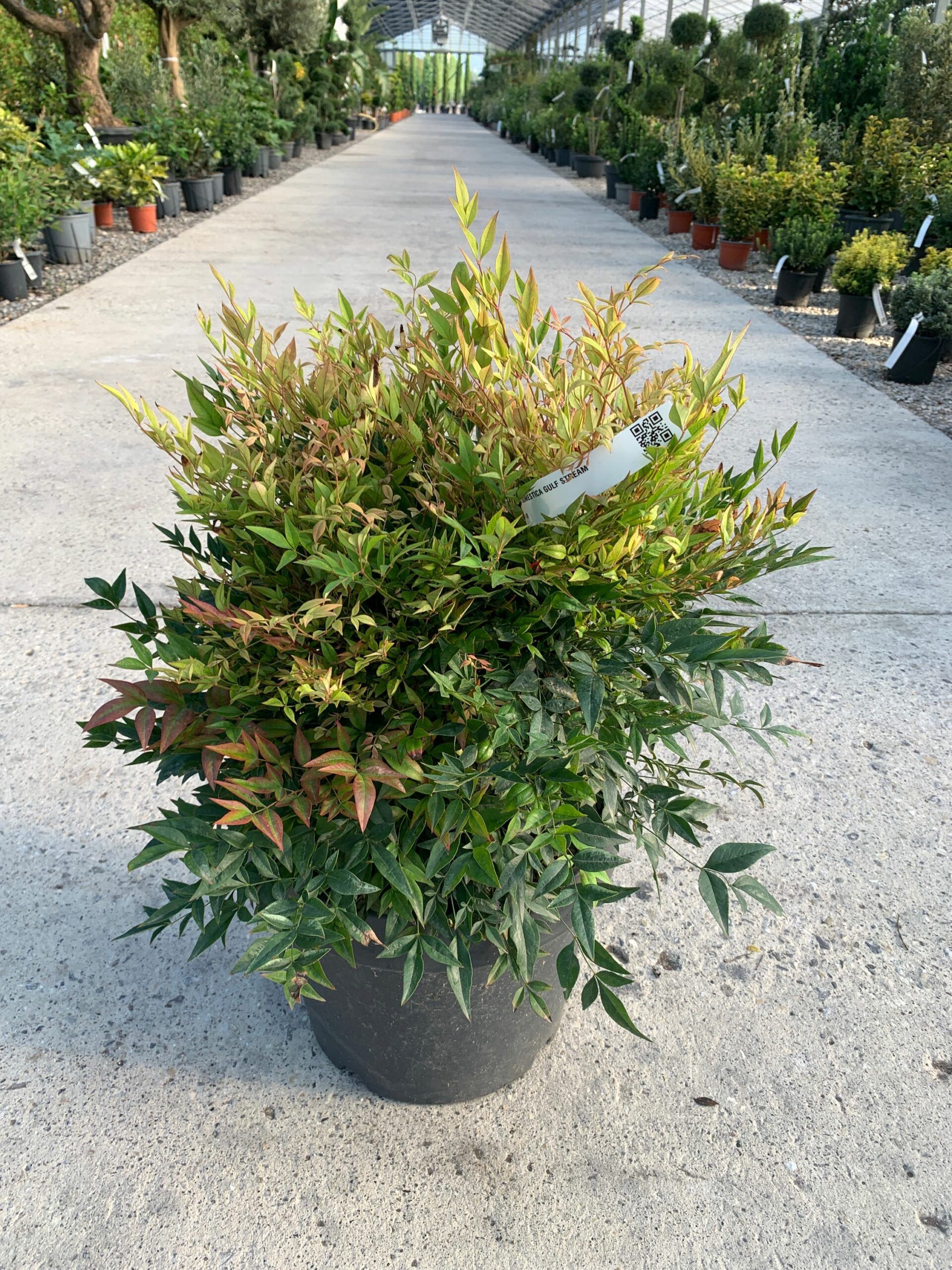 1632812144 scaled cfcc4619