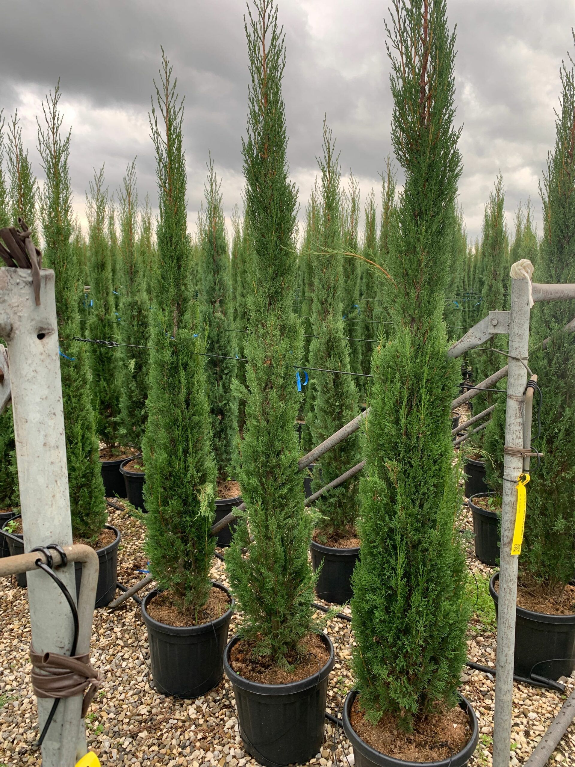 1635949790 scaled cfe636d9