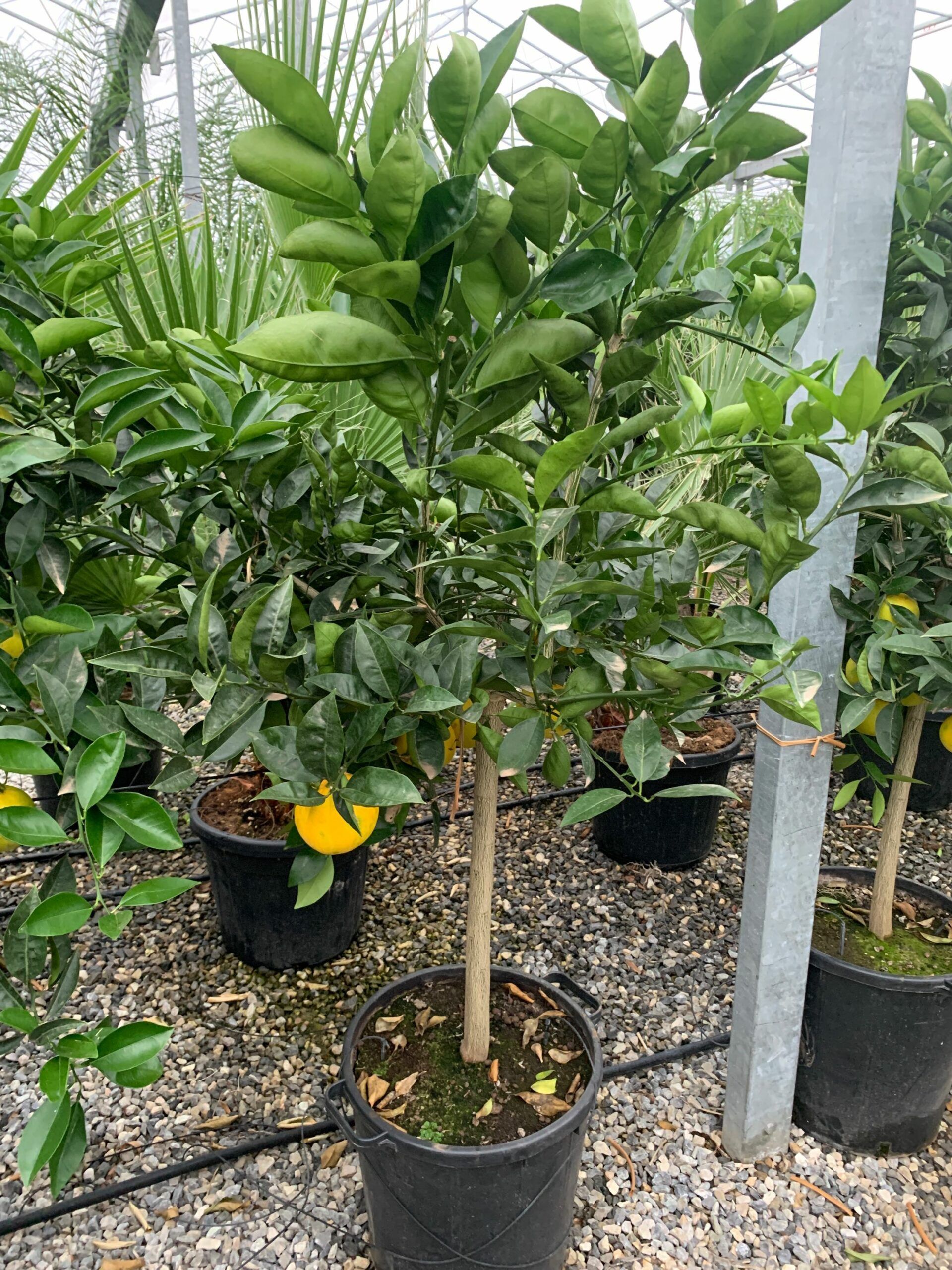 1636556897 scaled cf82abcb