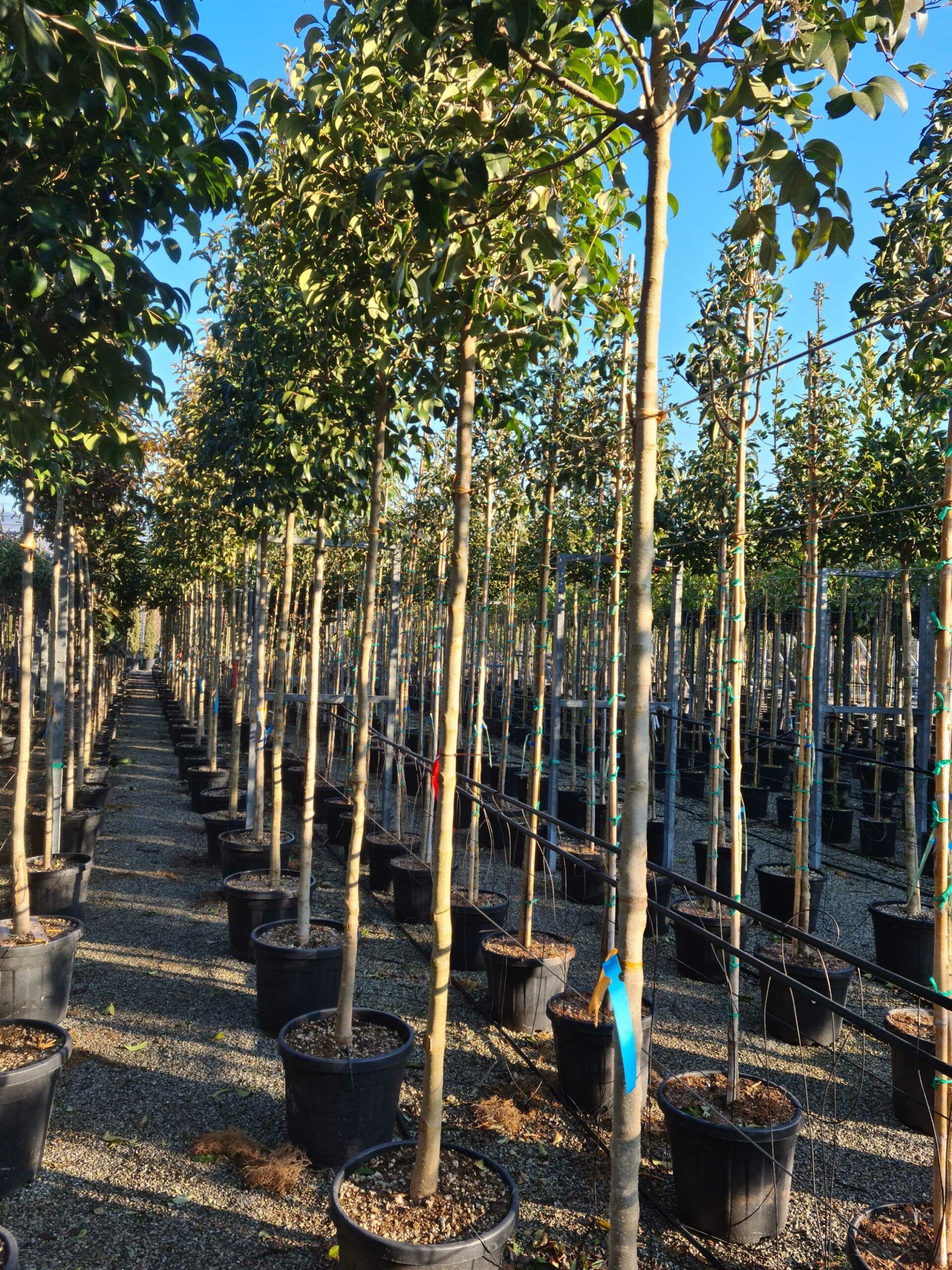 1643099104 scaled cf4cf39b