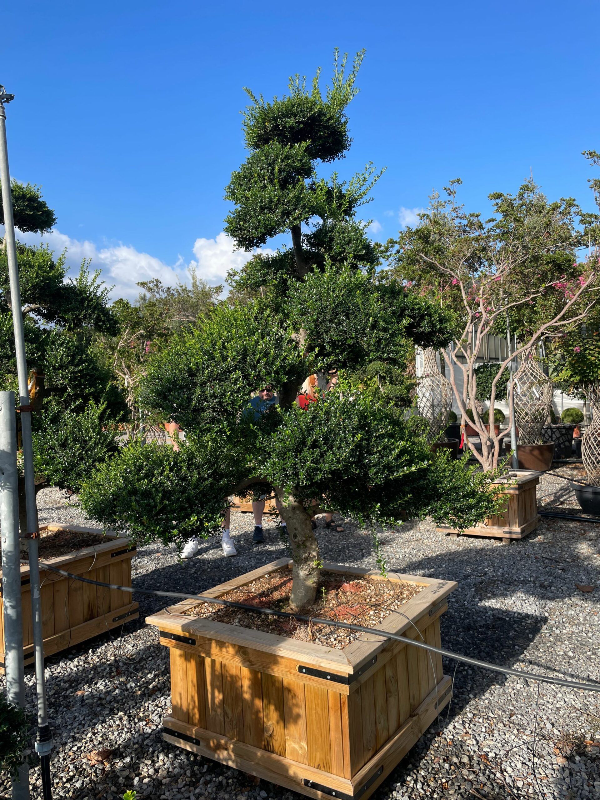 1662706860 scaled cf0828ec