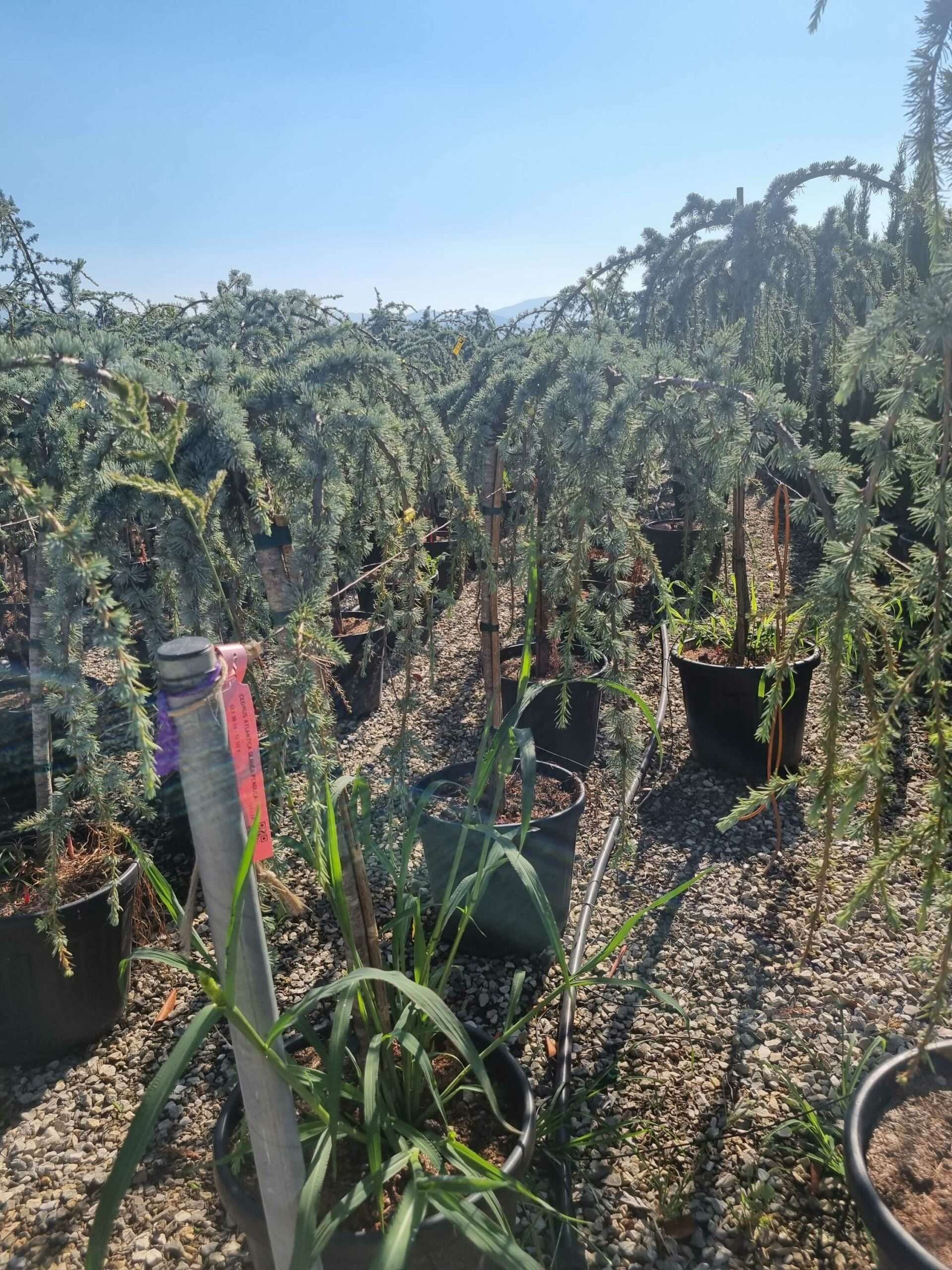 1692690891 scaled cf7f0ab9