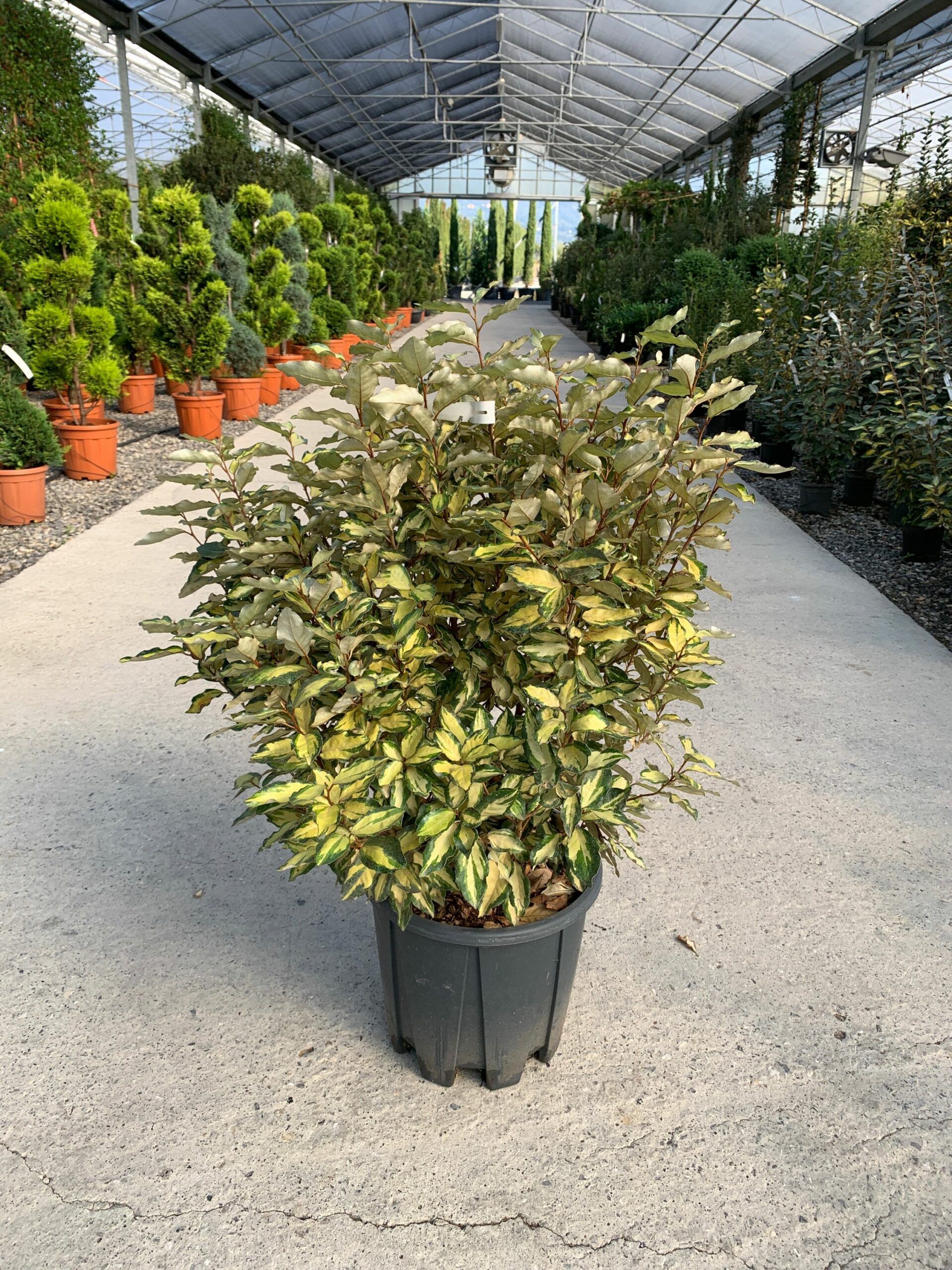 1634977768 scaled d003fd6d