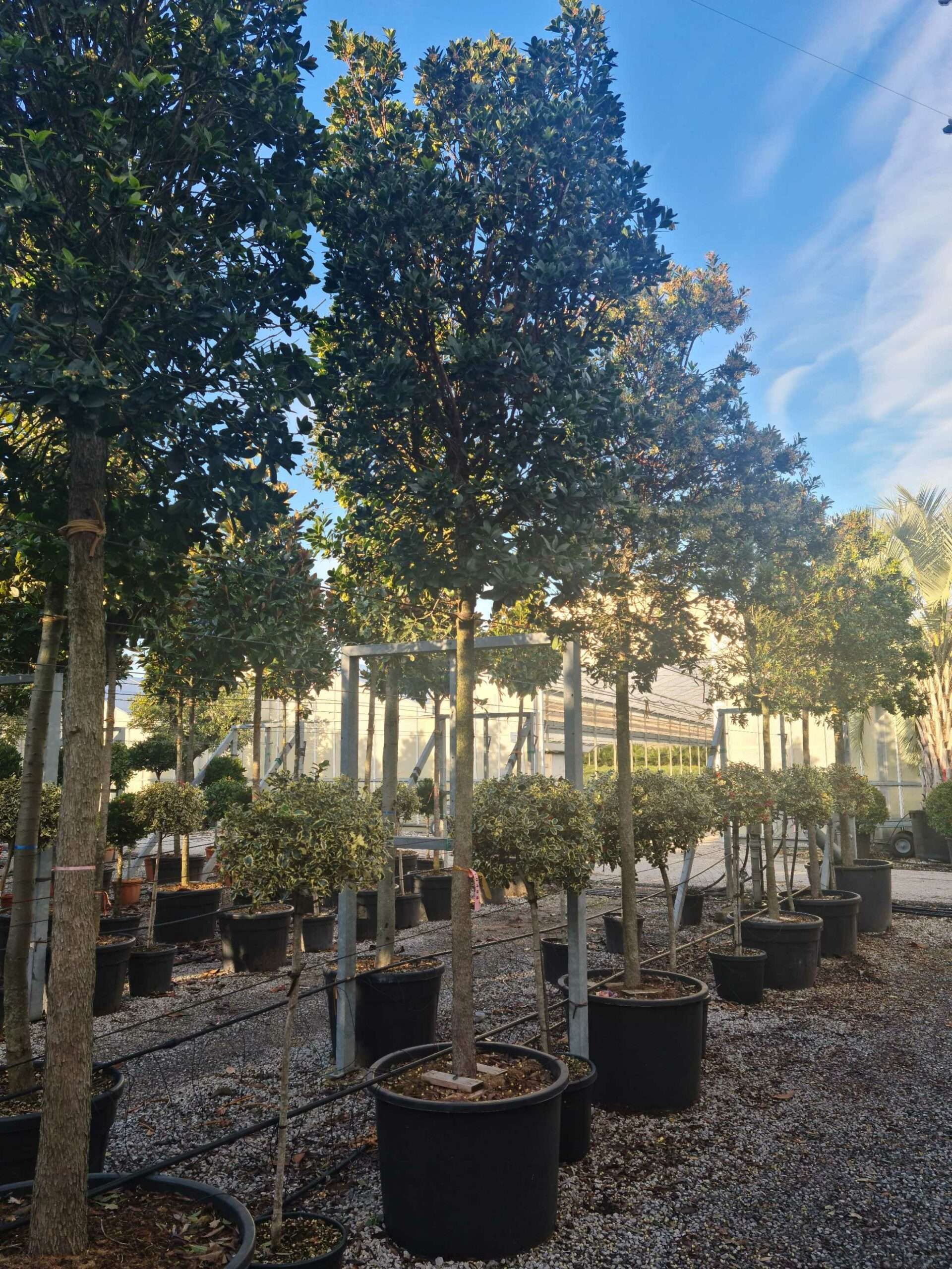 1639404290 scaled d04f18d5